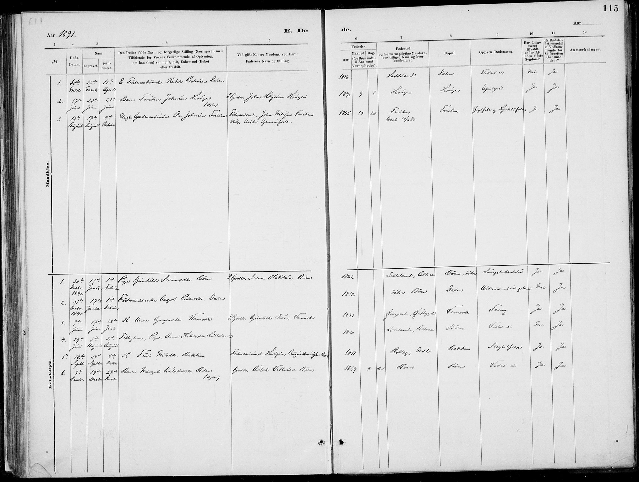 Rjukan kirkebøker, AV/SAKO-A-294/F/Fa/L0001: Parish register (official) no. 1, 1878-1912, p. 115