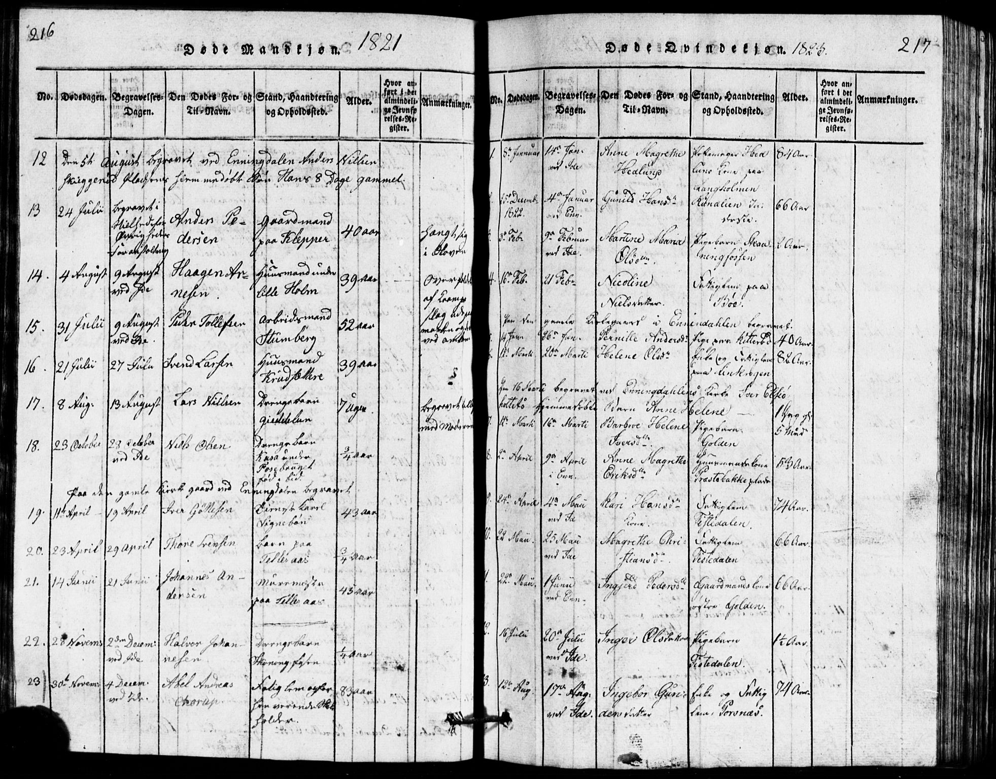 Idd prestekontor Kirkebøker, AV/SAO-A-10911/G/Ga/L0001: Parish register (copy) no. I 1, 1815-1826, p. 216-217