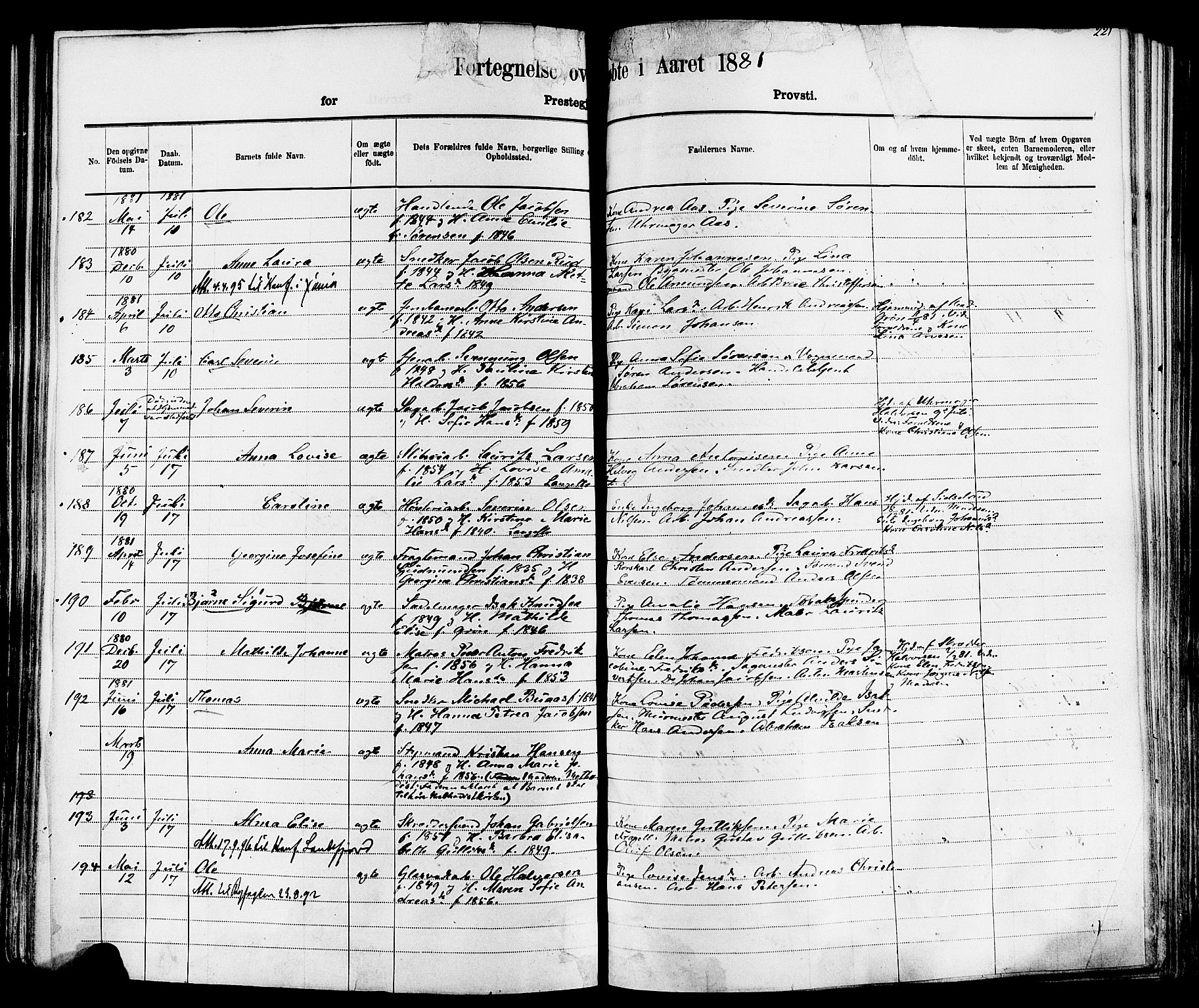 Larvik kirkebøker, AV/SAKO-A-352/F/Fa/L0006: Parish register (official) no. I 6, 1871-1883, p. 221