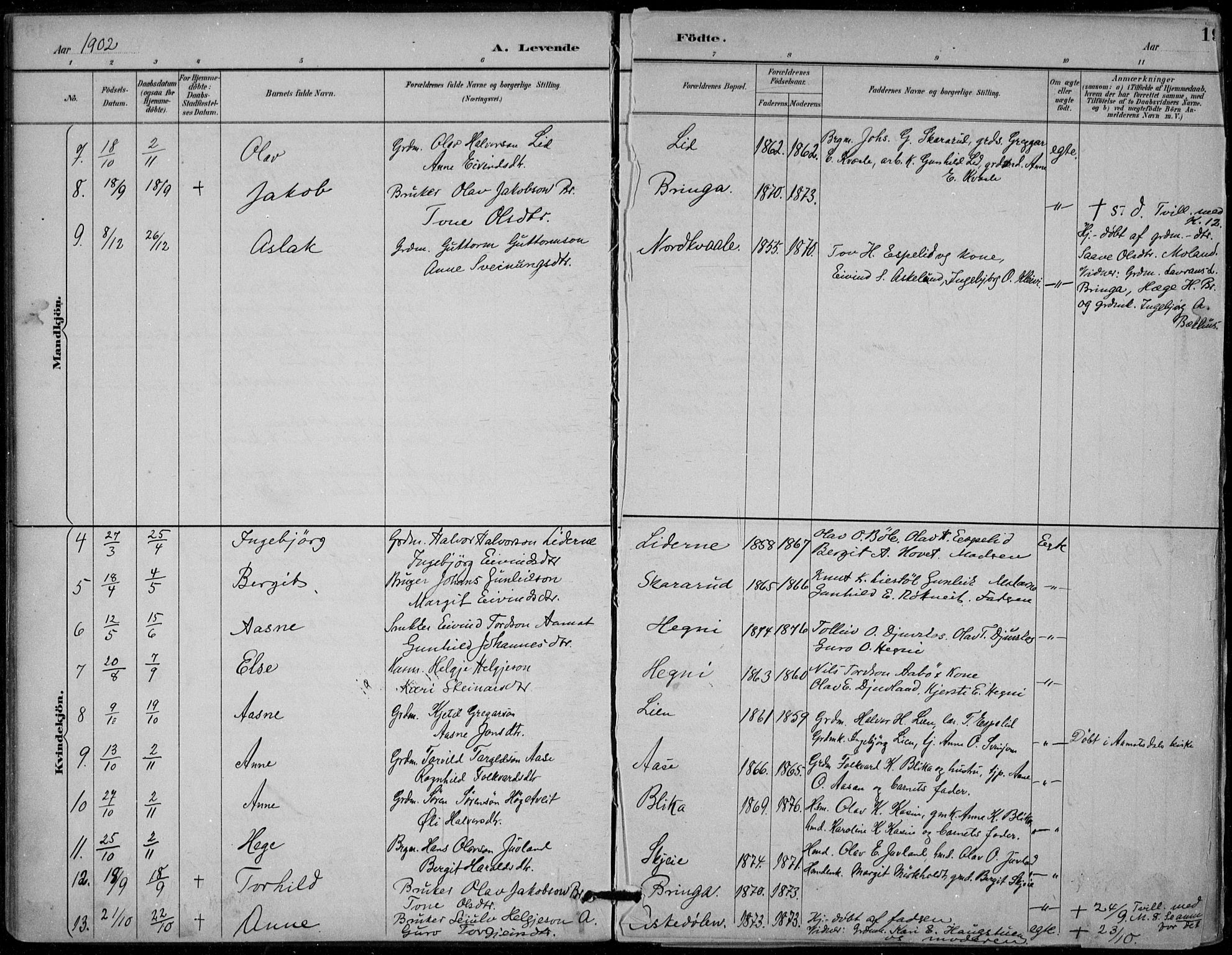 Seljord kirkebøker, AV/SAKO-A-20/F/Fb/L0002: Parish register (official) no. II 2, 1887-1917, p. 19