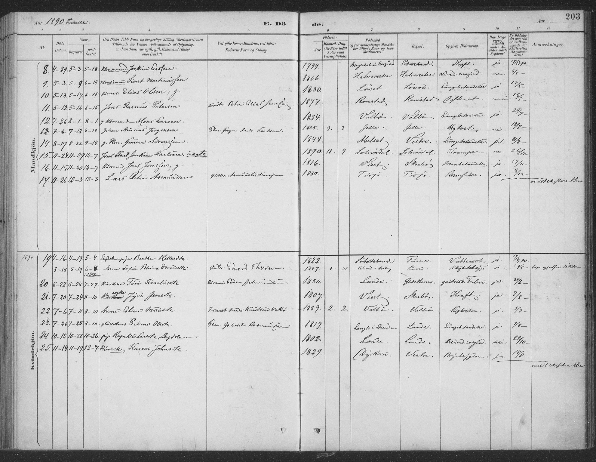 Ministerialprotokoller, klokkerbøker og fødselsregistre - Møre og Romsdal, AV/SAT-A-1454/522/L0316: Parish register (official) no. 522A11, 1890-1911, p. 203