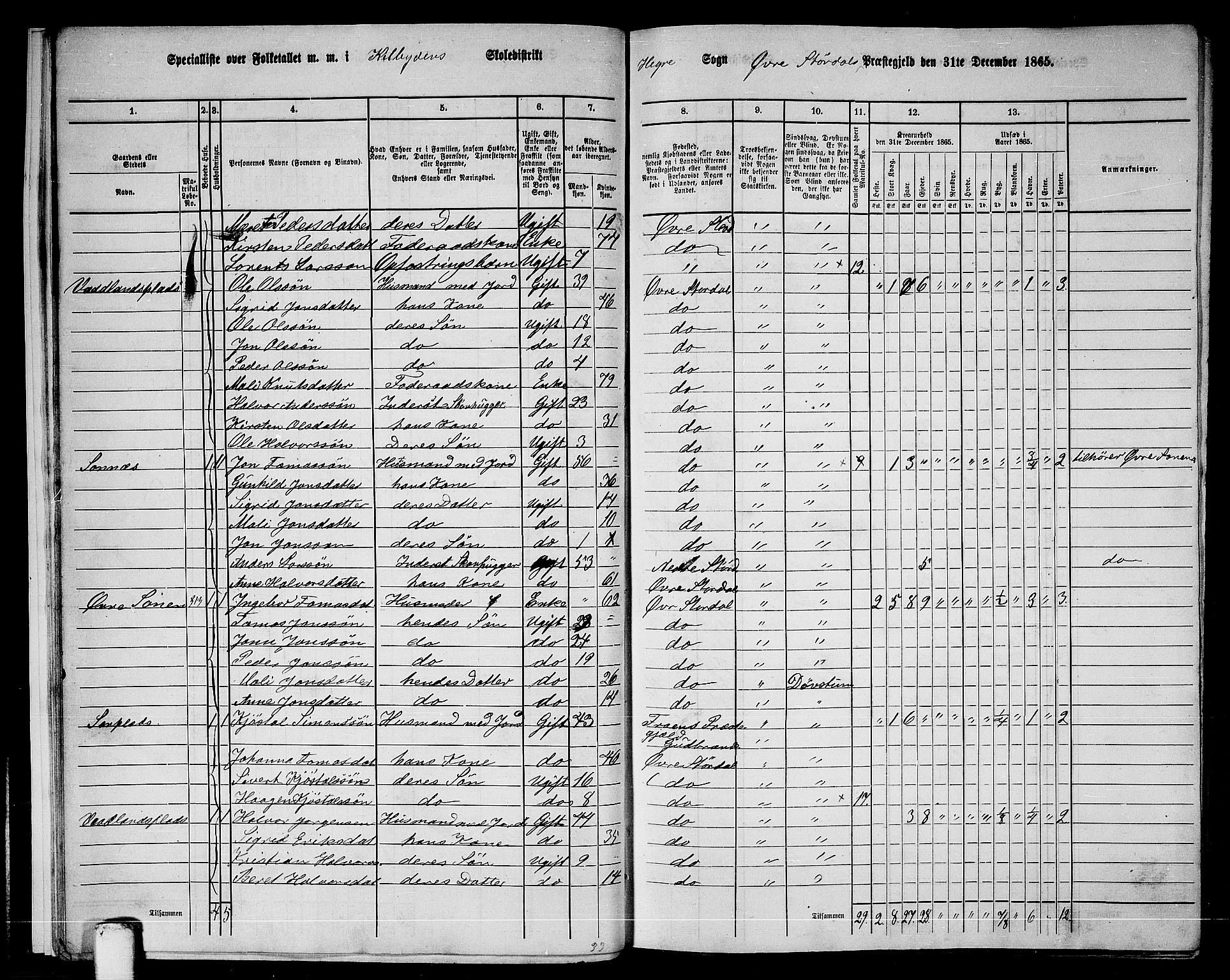 RA, 1865 census for Øvre Stjørdal, 1865, p. 15