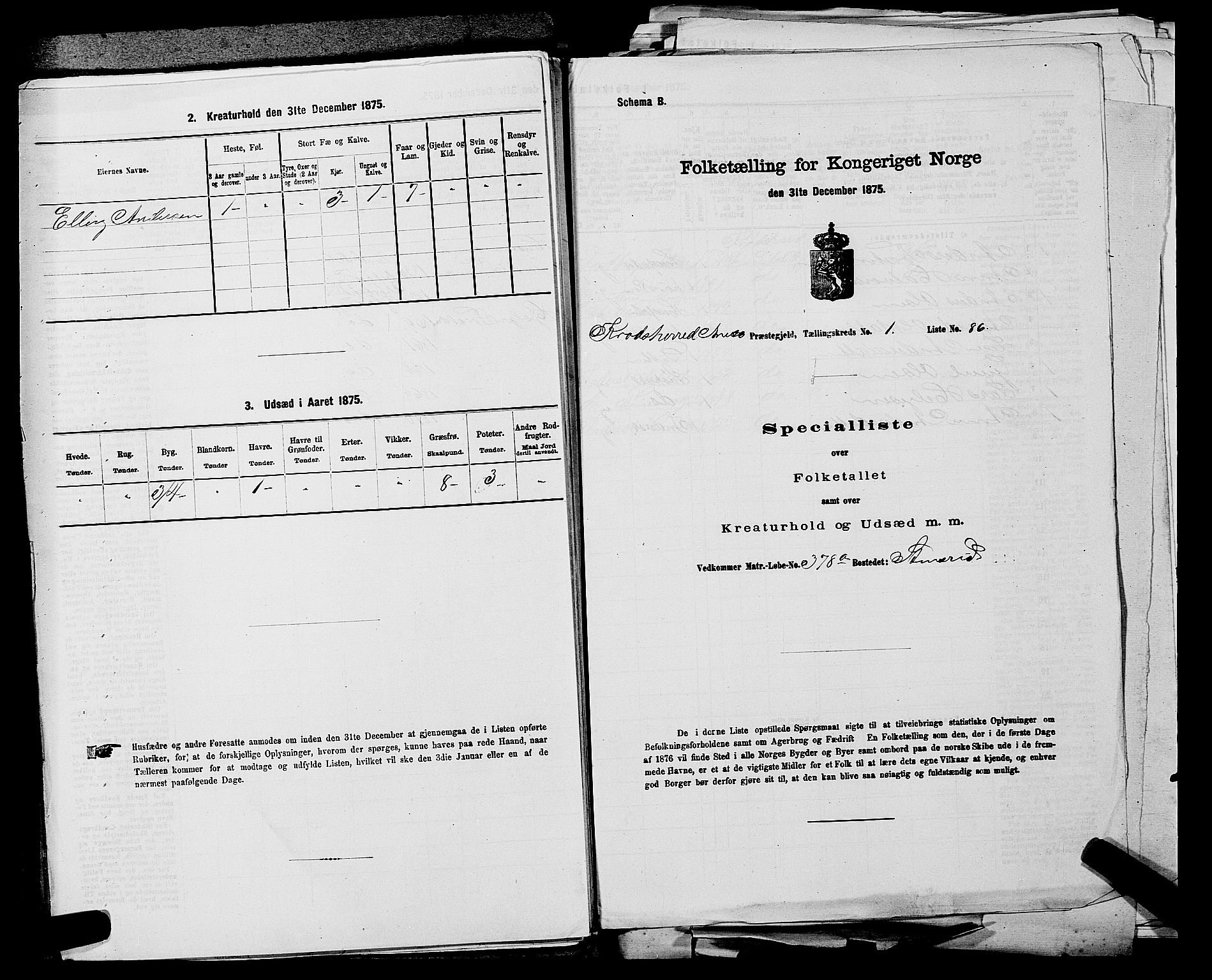 SAKO, 1875 census for 0621P Sigdal, 1875, p. 1336