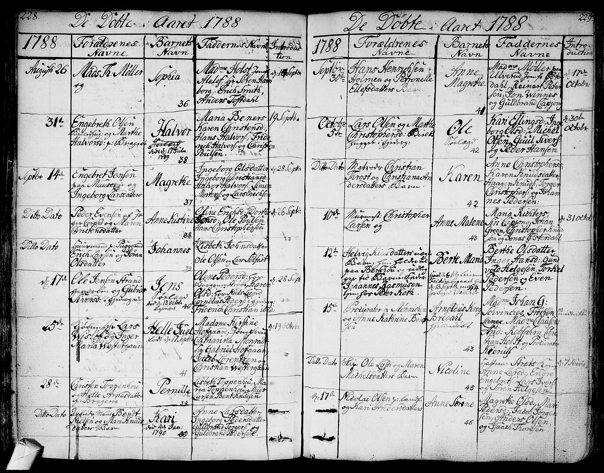 Bragernes kirkebøker, SAKO/A-6/F/Fa/L0006a: Parish register (official) no. I 6, 1782-1814, p. 228-229