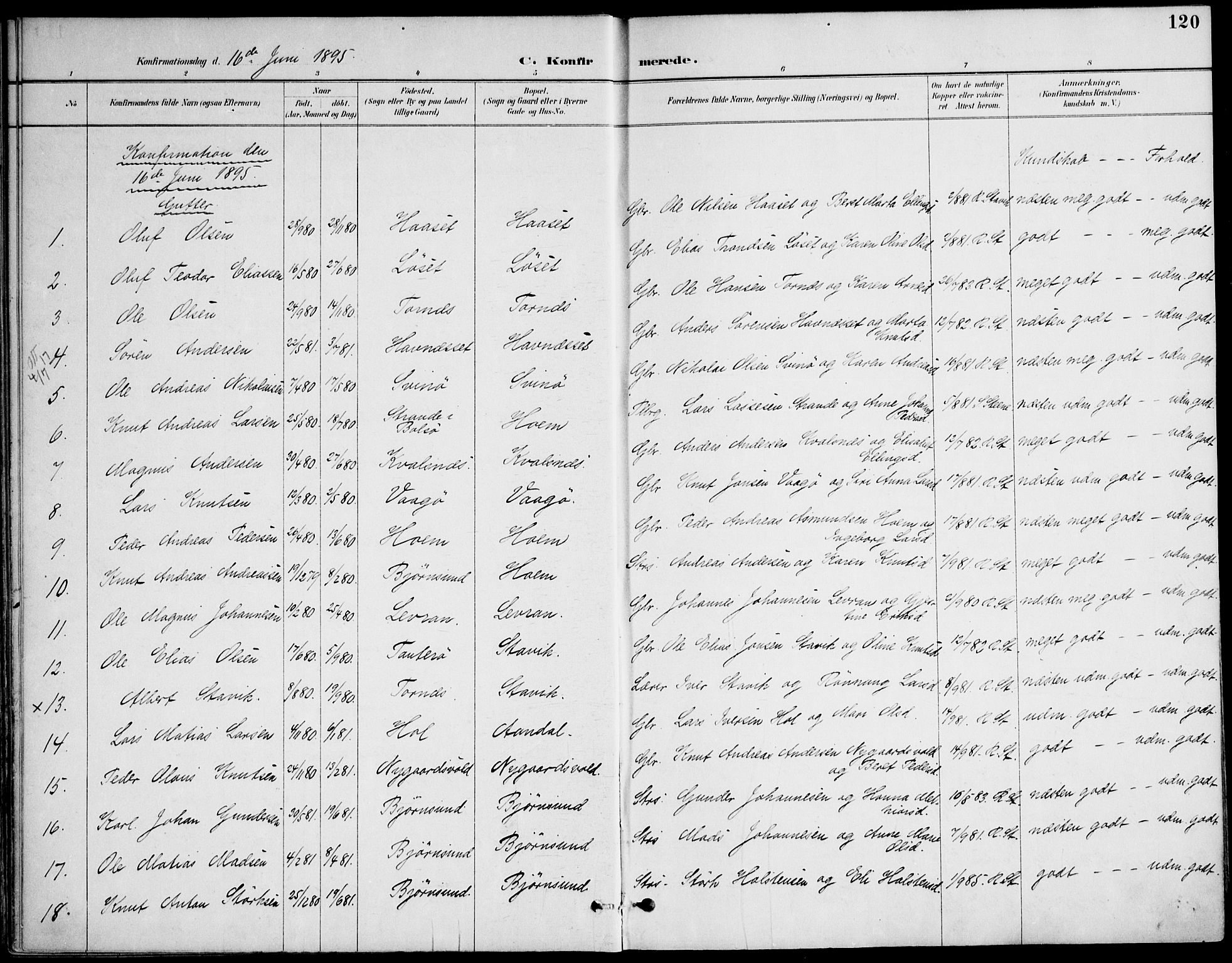 Ministerialprotokoller, klokkerbøker og fødselsregistre - Møre og Romsdal, AV/SAT-A-1454/565/L0750: Parish register (official) no. 565A04, 1887-1905, p. 120