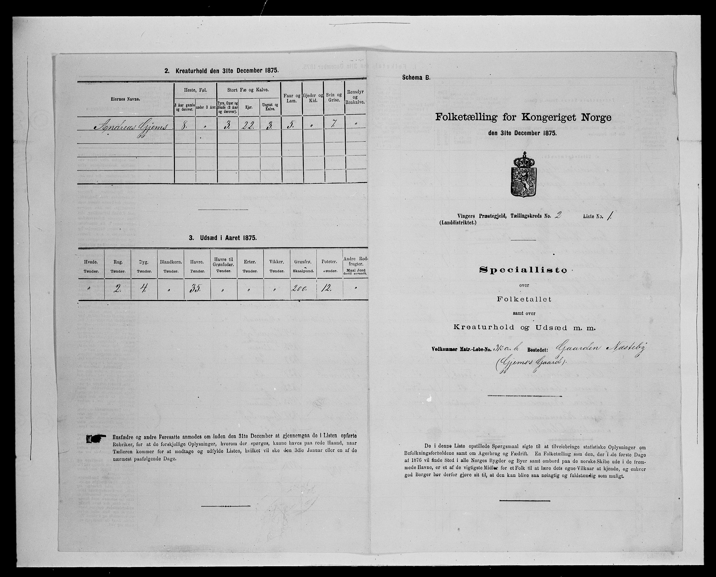 SAH, 1875 census for 0421L Vinger/Vinger og Austmarka, 1875, p. 217