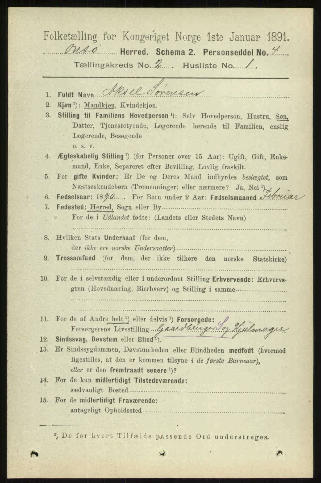 RA, 1891 census for 0134 Onsøy, 1891, p. 1004