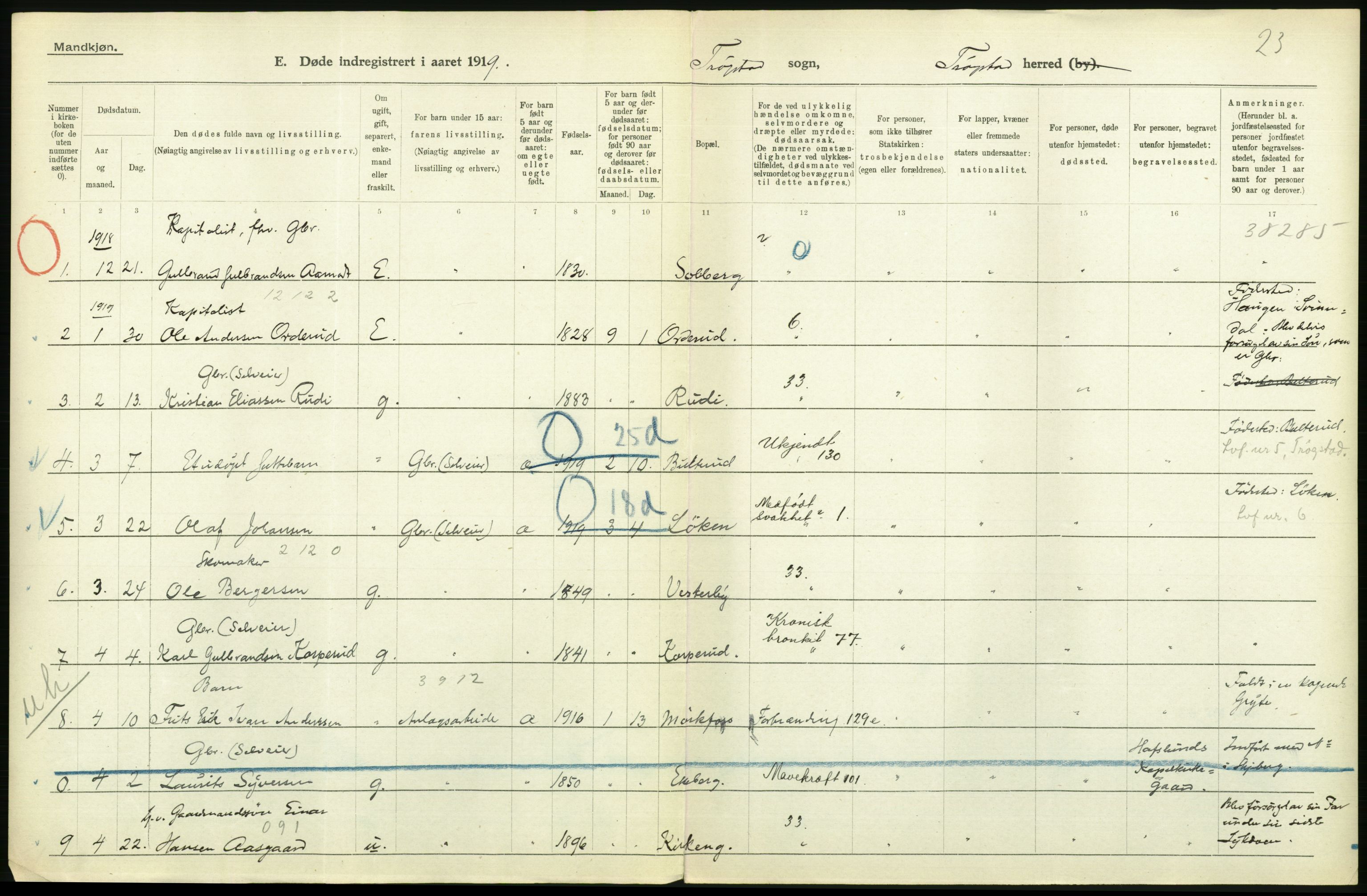 Statistisk sentralbyrå, Sosiodemografiske emner, Befolkning, RA/S-2228/D/Df/Dfb/Dfbi/L0003: Østfold fylke: Døde. Bygder og byer., 1919