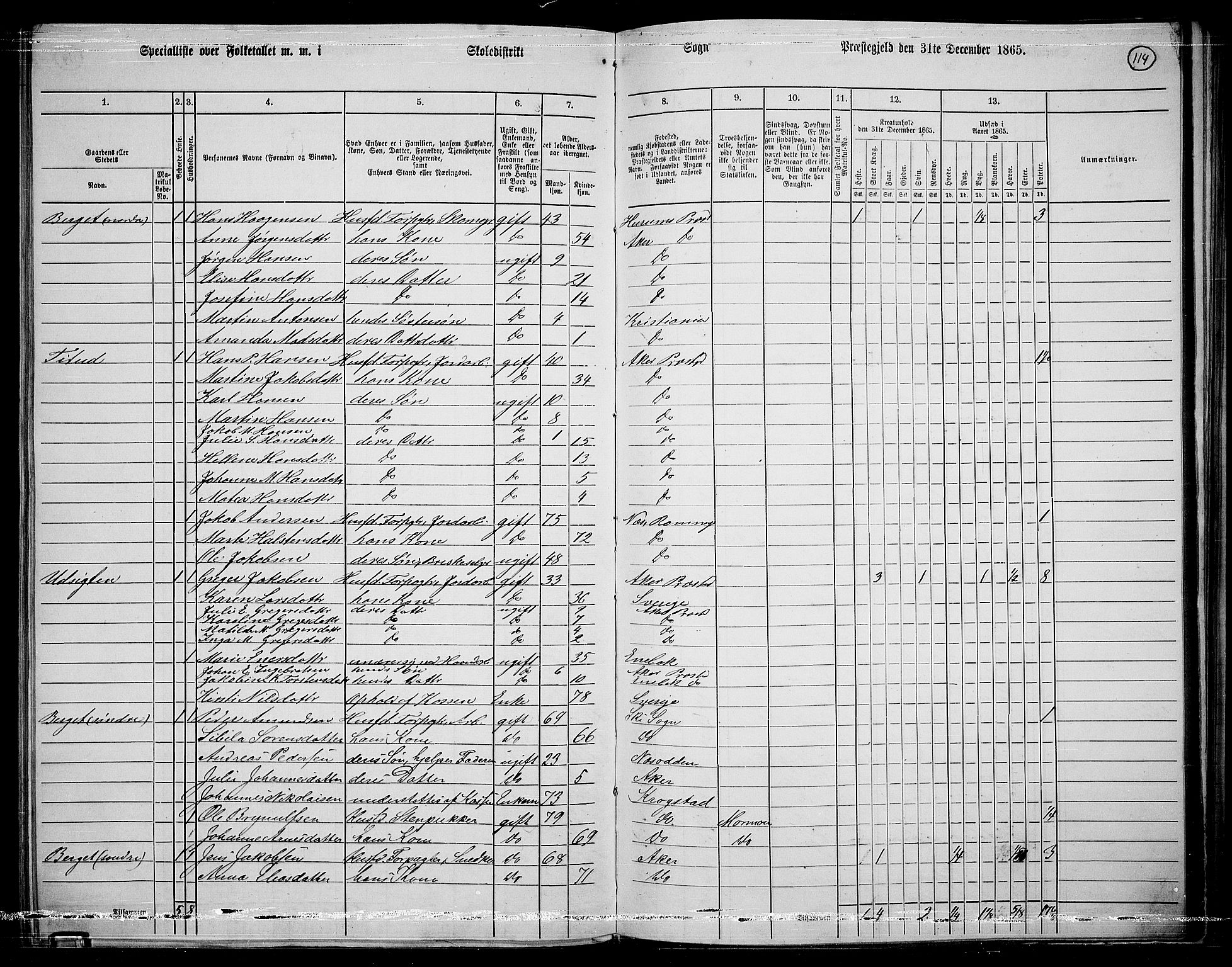 RA, 1865 census for Østre Aker, 1865, p. 338