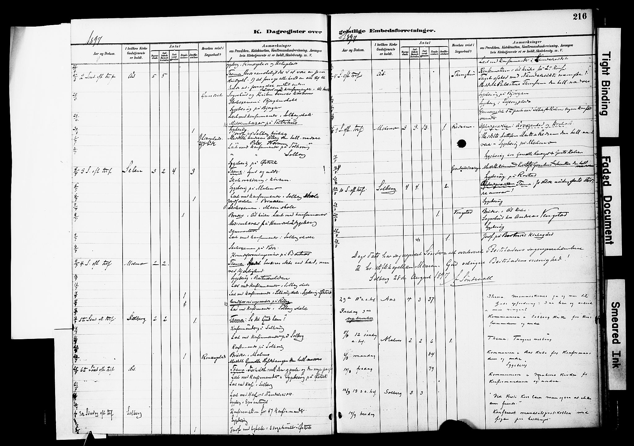 Ministerialprotokoller, klokkerbøker og fødselsregistre - Nord-Trøndelag, AV/SAT-A-1458/741/L0396: Parish register (official) no. 741A10, 1889-1901, p. 216