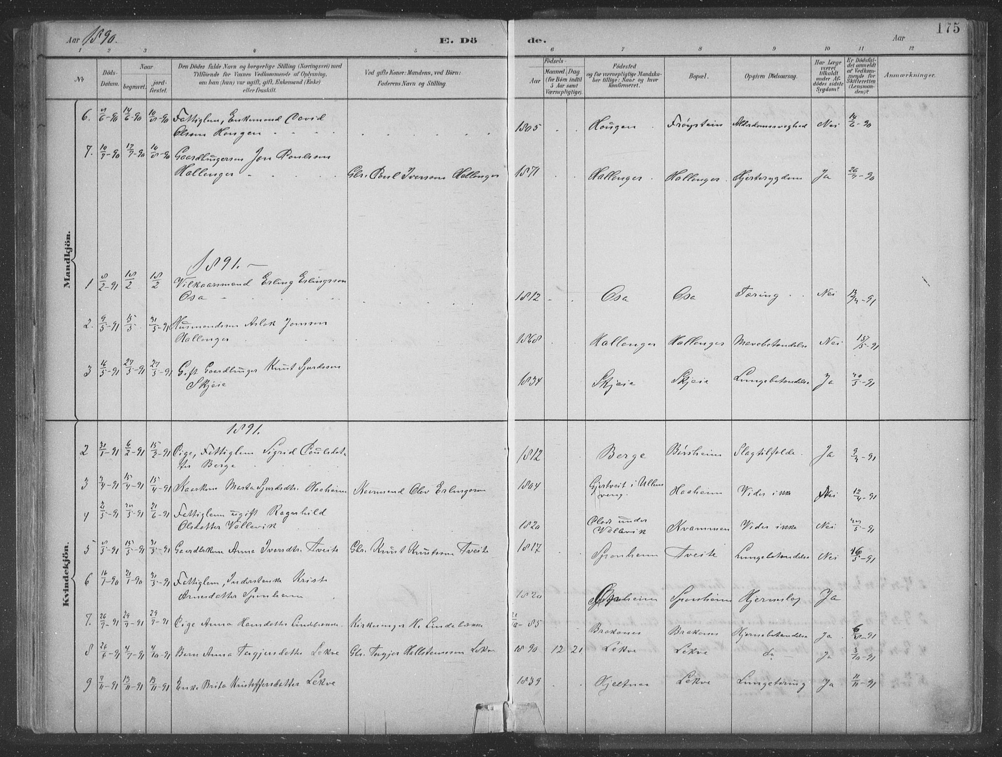 Ulvik sokneprestembete, SAB/A-78801/H/Hab: Parish register (copy) no. A 3, 1883-1908, p. 175