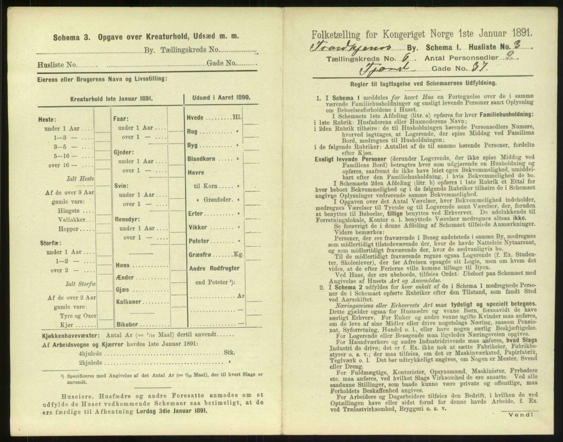 RA, 1891 census for 1601 Trondheim, 1891, p. 620