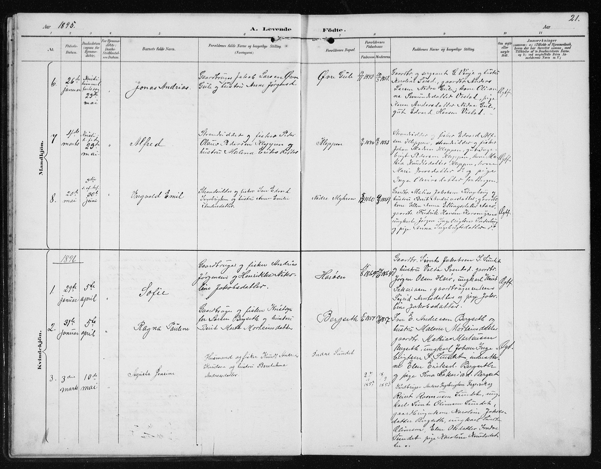 Ministerialprotokoller, klokkerbøker og fødselsregistre - Møre og Romsdal, AV/SAT-A-1454/566/L0773: Parish register (copy) no. 566C02, 1892-1909, p. 21