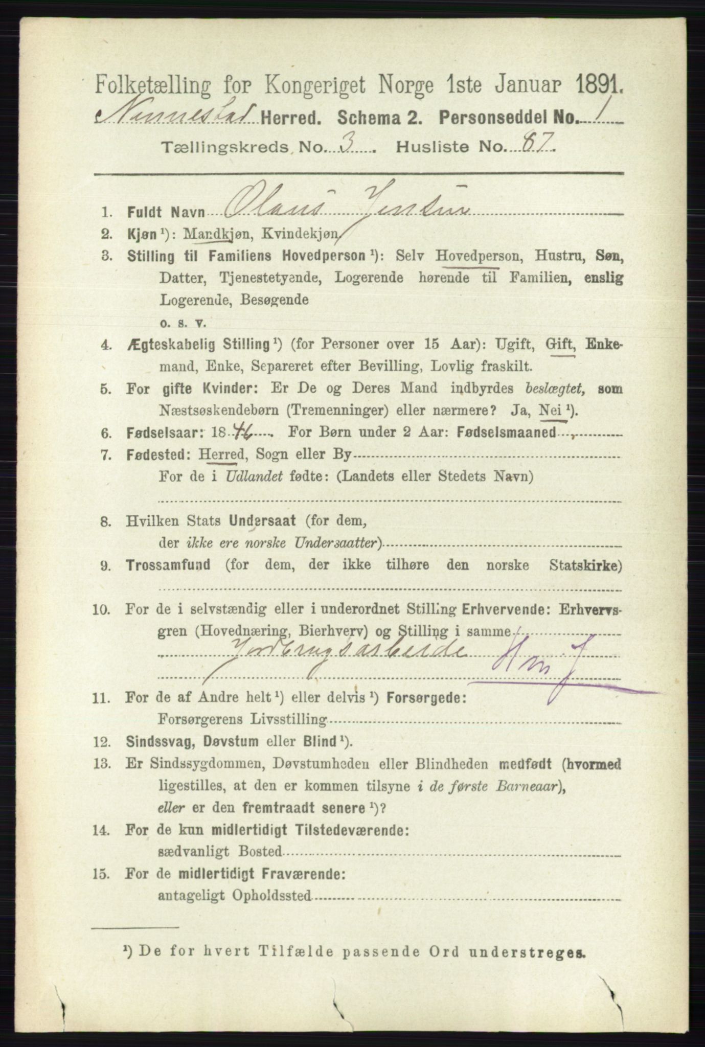 RA, 1891 census for 0238 Nannestad, 1891, p. 1966