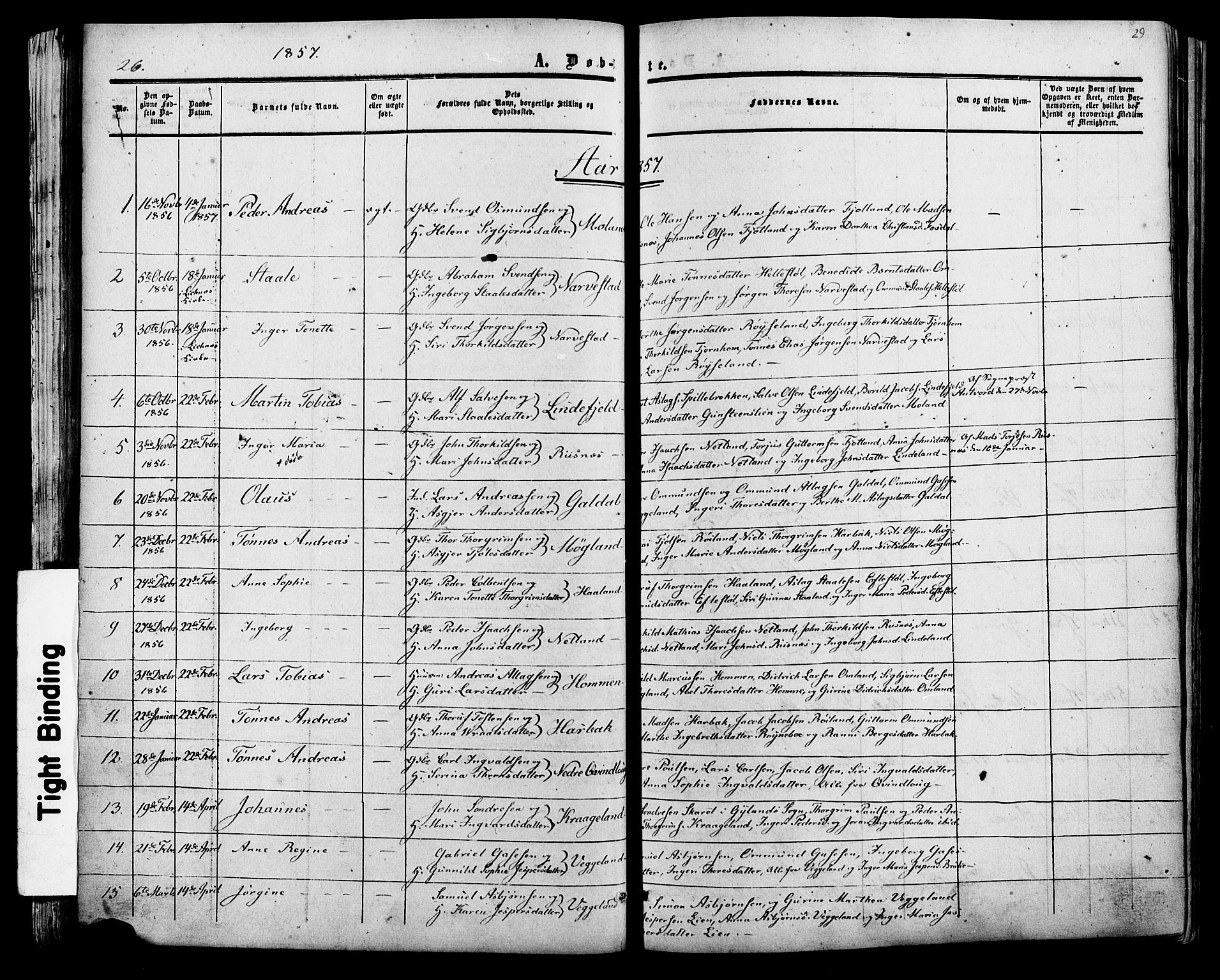 Fjotland sokneprestkontor, SAK/1111-0010/F/Fa/L0001: Parish register (official) no. A 1, 1850-1879, p. 29