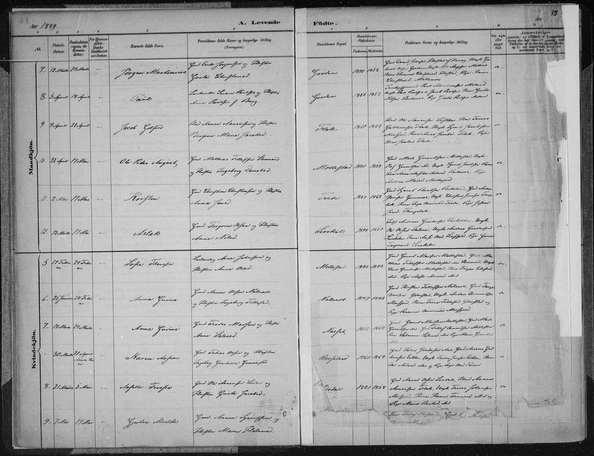 Birkenes sokneprestkontor, AV/SAK-1111-0004/F/Fa/L0005: Parish register (official) no. A 5, 1887-1907, p. 15