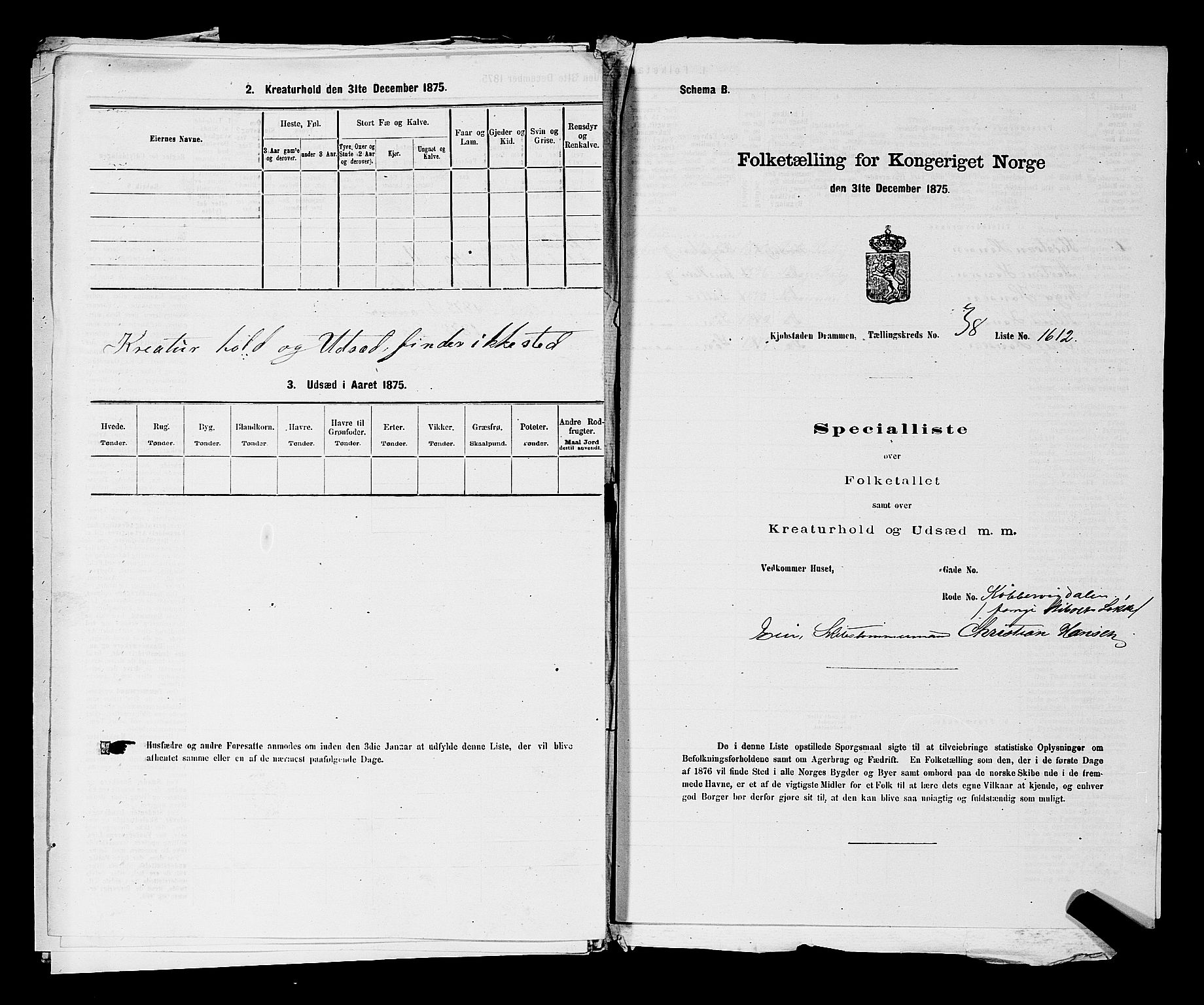 SAKO, 1875 census for 0602 Drammen, 1875, p. 3307