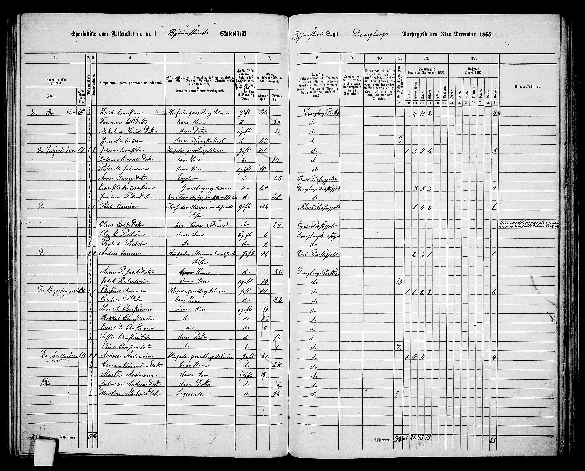 RA, 1865 census for Dverberg, 1865, p. 29