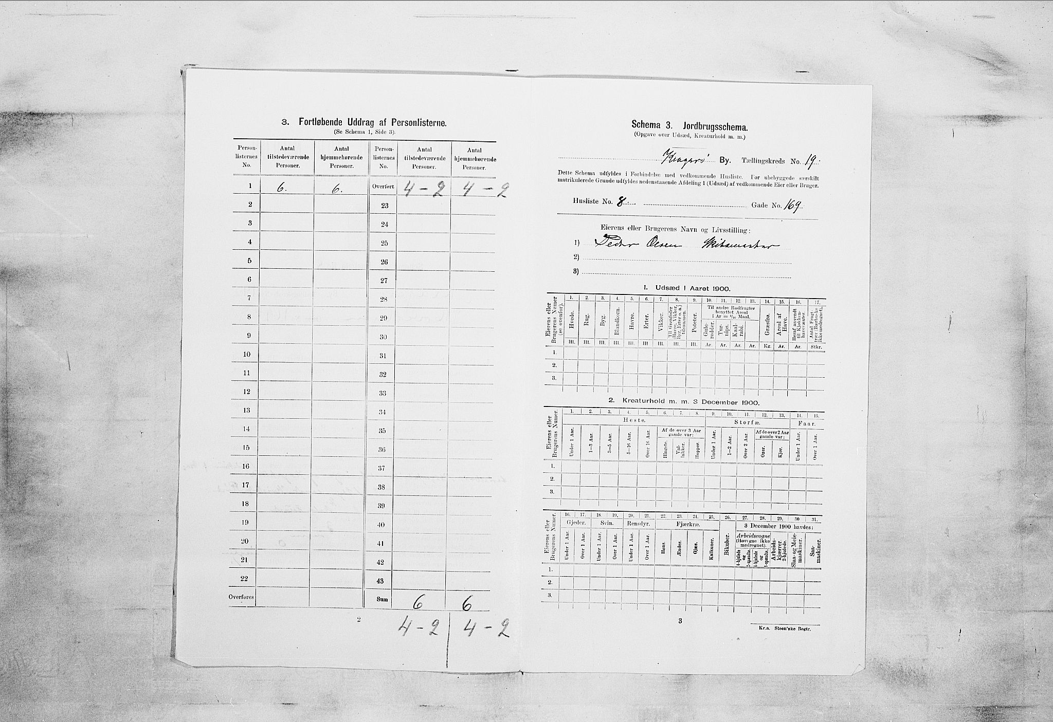 SAKO, 1900 census for Kragerø, 1900, p. 2195