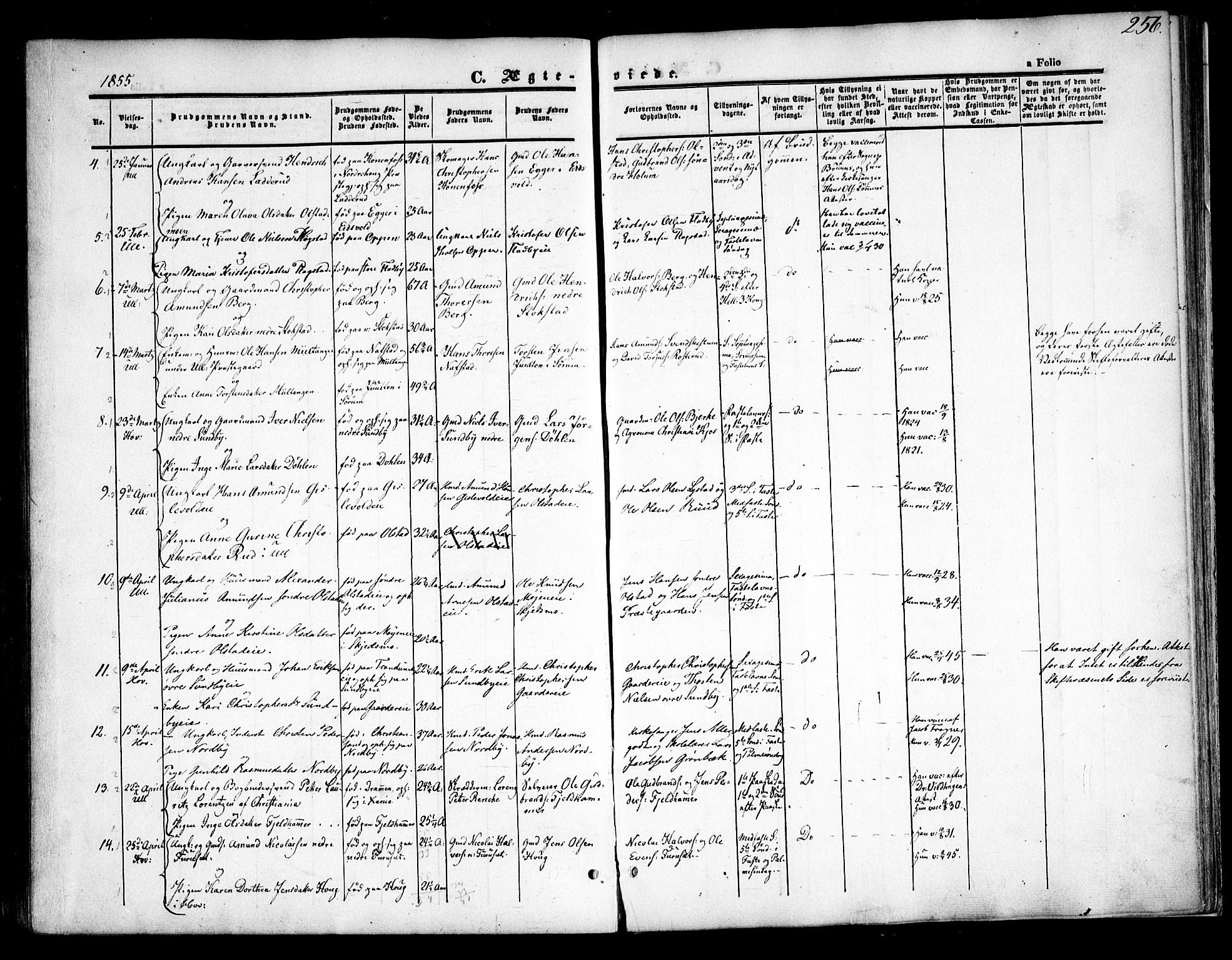 Ullensaker prestekontor Kirkebøker, SAO/A-10236a/F/Fa/L0015.a: Parish register (official) no. I 15A, 1851-1862, p. 256