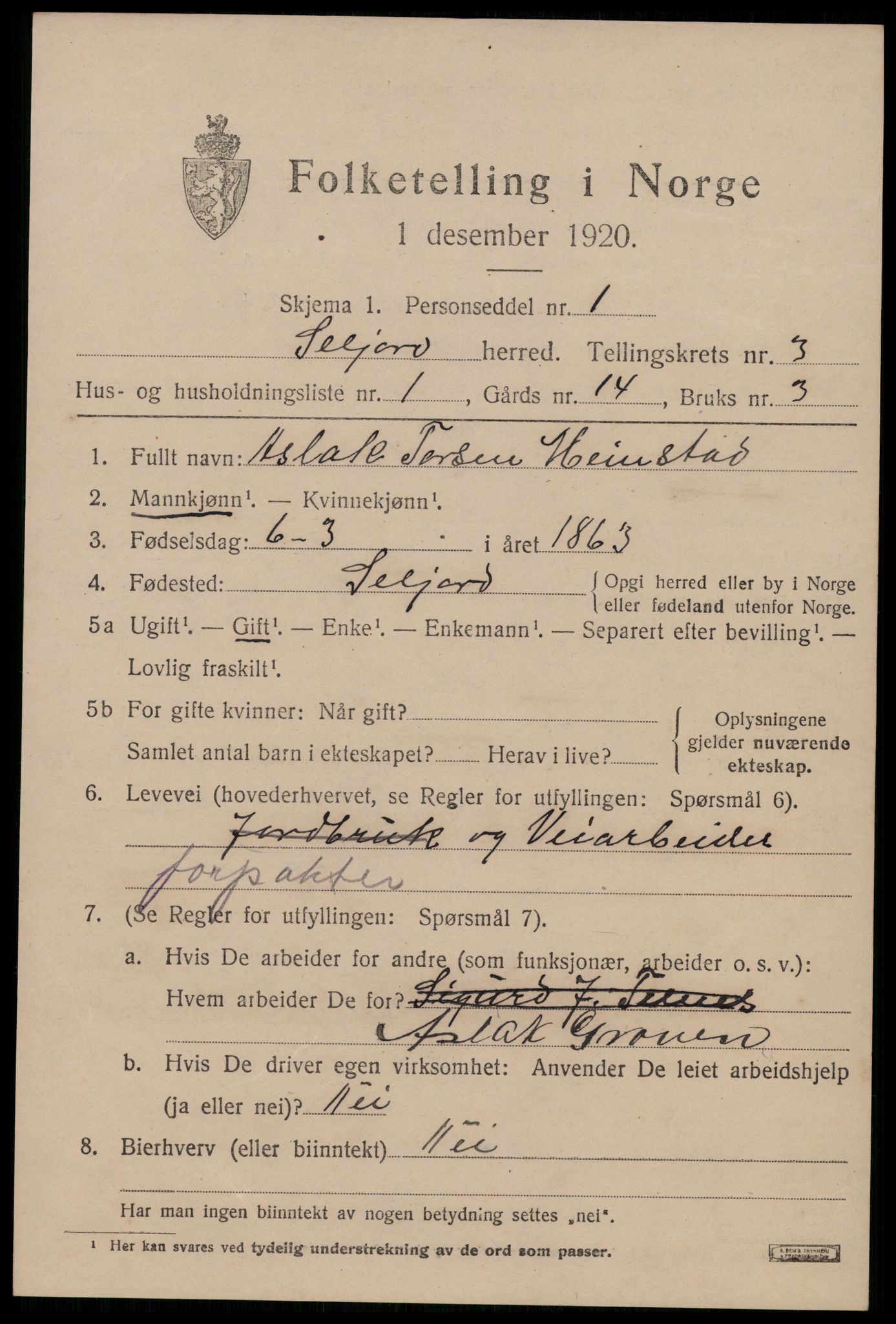 SAKO, 1920 census for Seljord, 1920, p. 1746