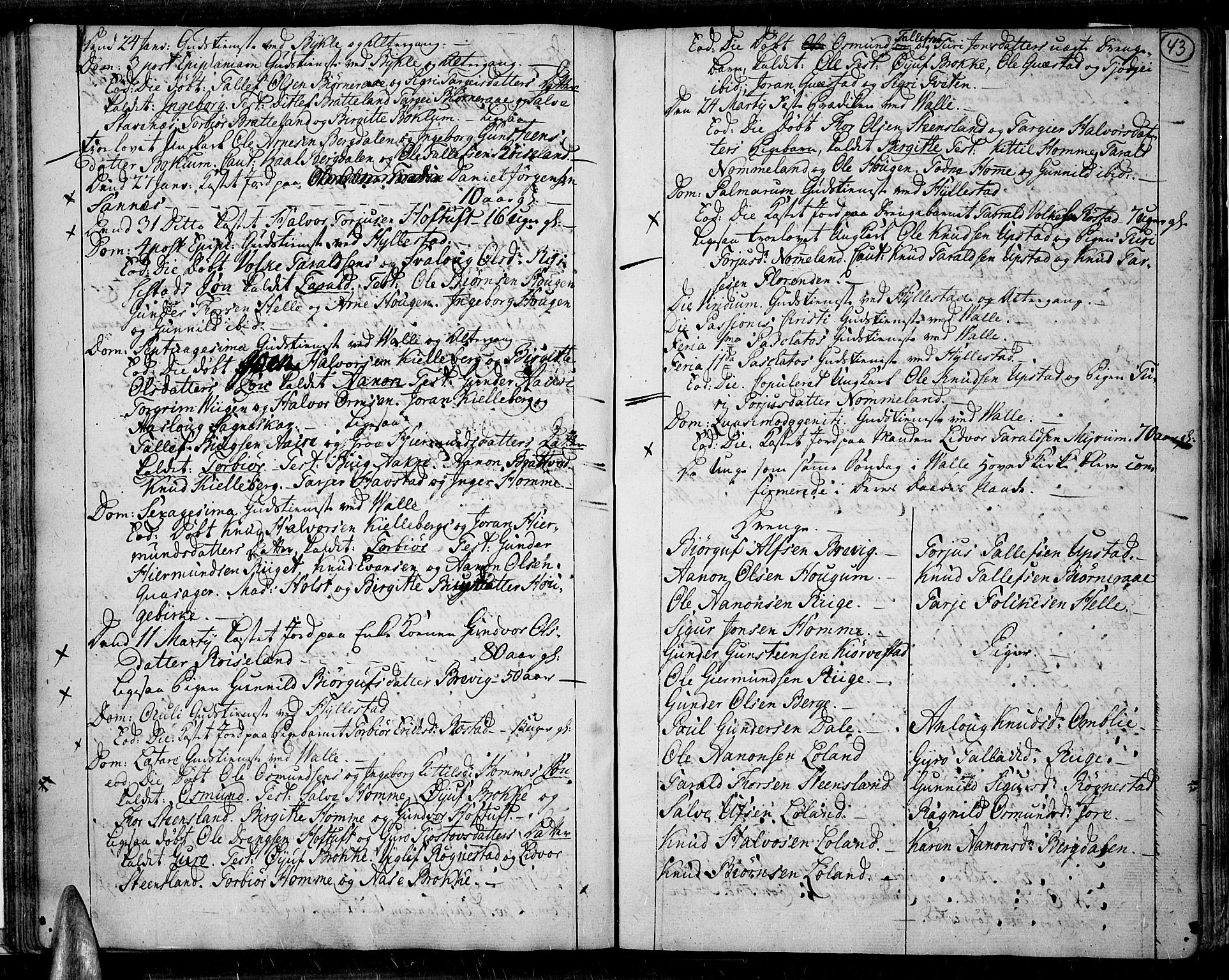 Valle sokneprestkontor, SAK/1111-0044/F/Fa/Fac/L0003: Parish register (official) no. A 3, 1776-1790, p. 43