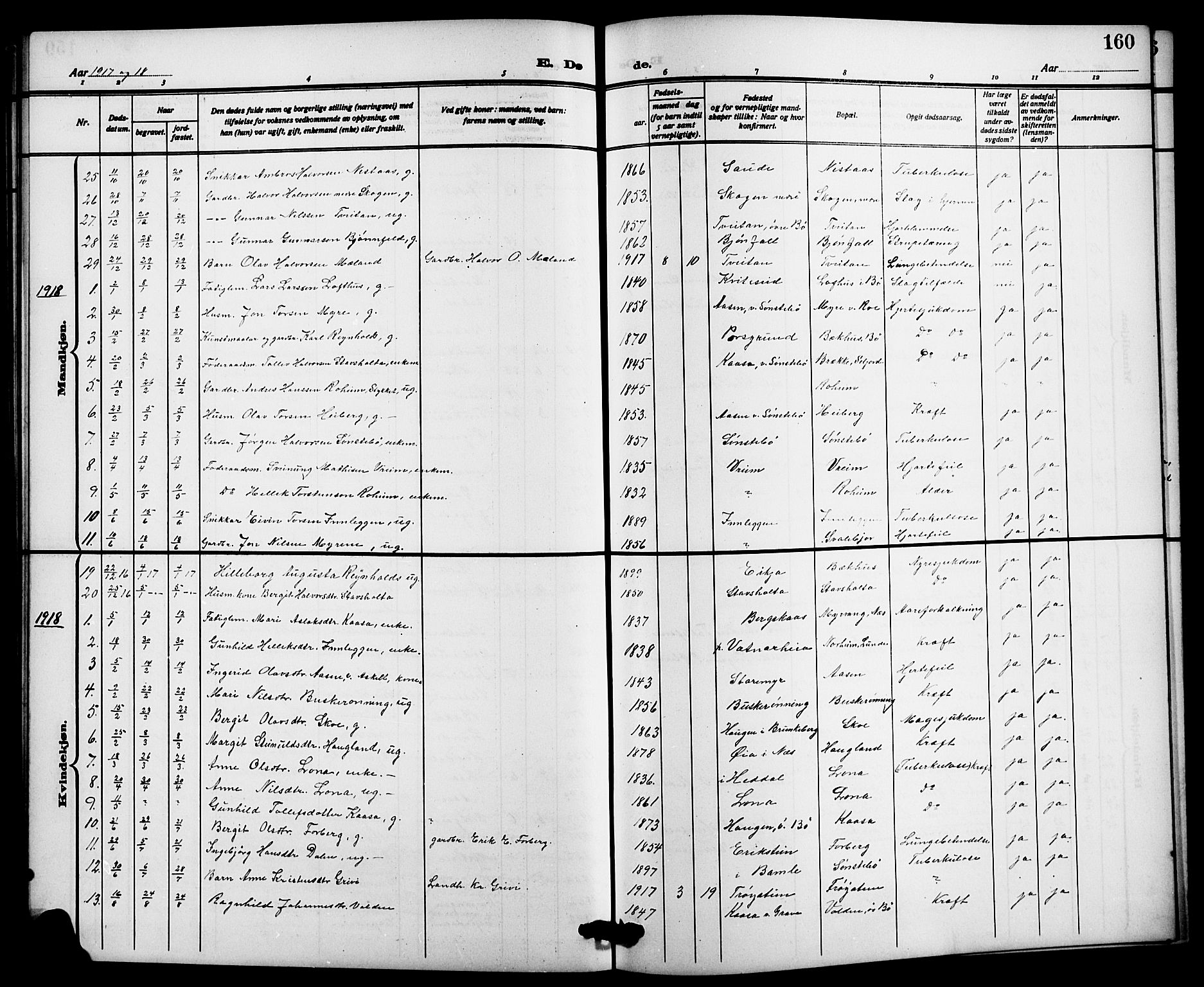 Bø kirkebøker, SAKO/A-257/G/Ga/L0007: Parish register (copy) no. 7, 1909-1924, p. 160
