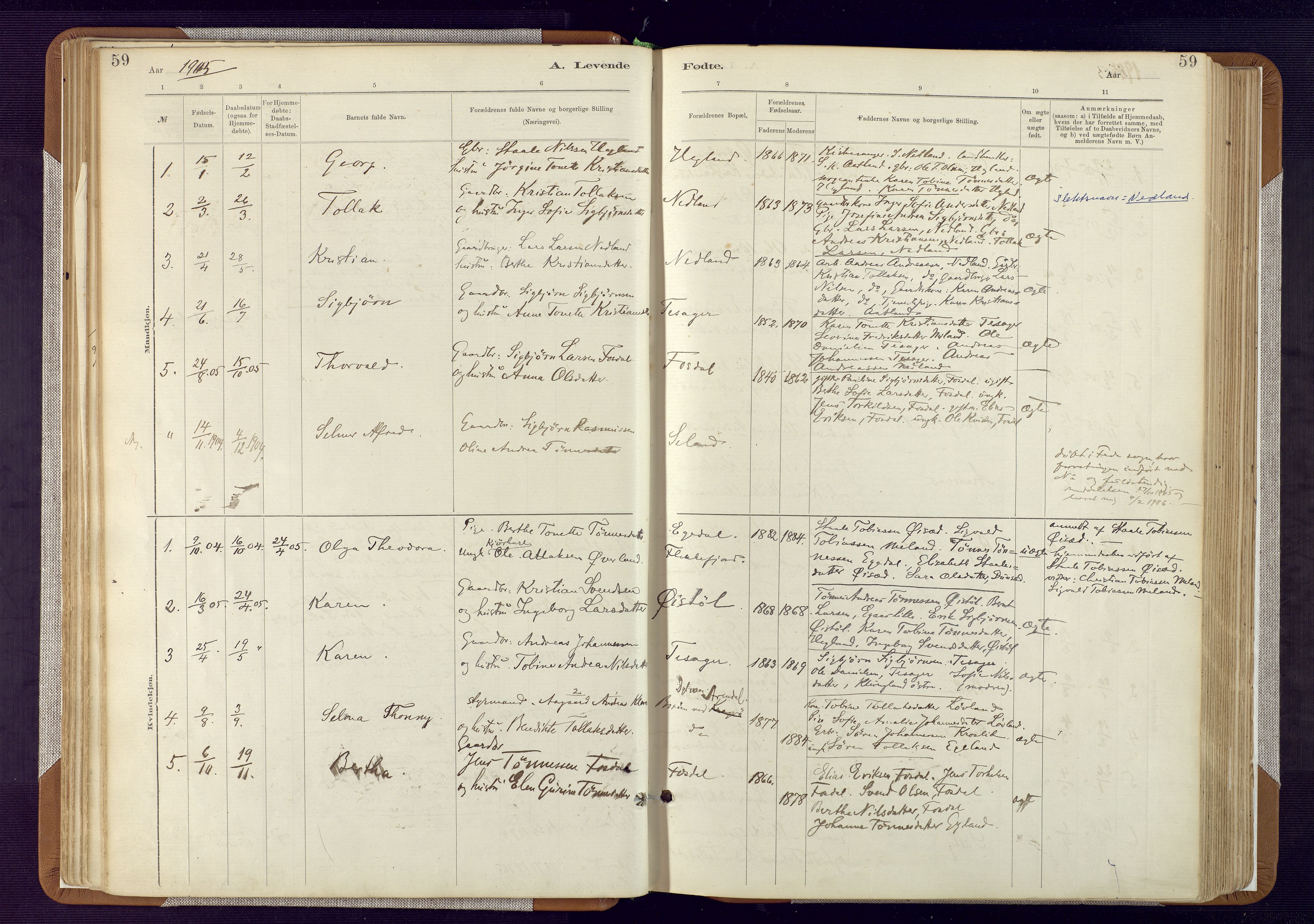 Bakke sokneprestkontor, SAK/1111-0002/F/Fa/Fab/L0003: Parish register (official) no. A 3, 1884-1921, p. 59