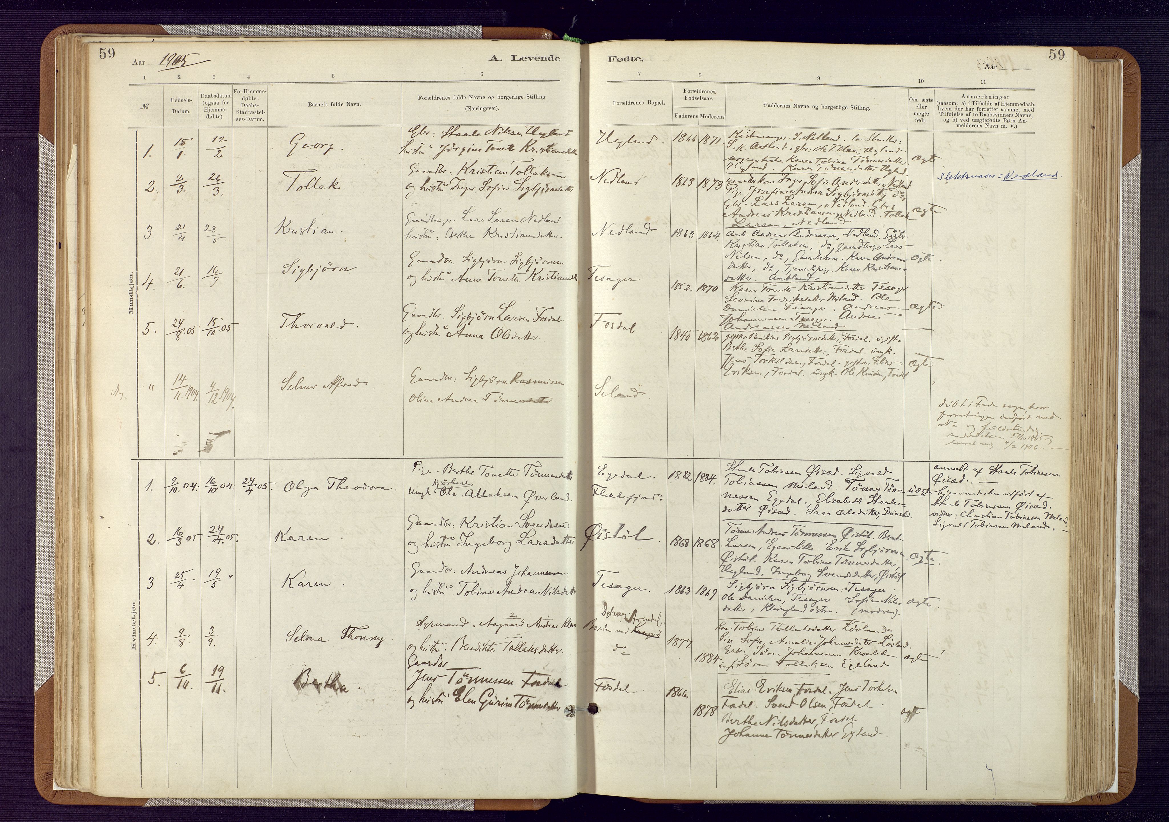 Bakke sokneprestkontor, AV/SAK-1111-0002/F/Fa/Fab/L0003: Parish register (official) no. A 3, 1884-1921, p. 59