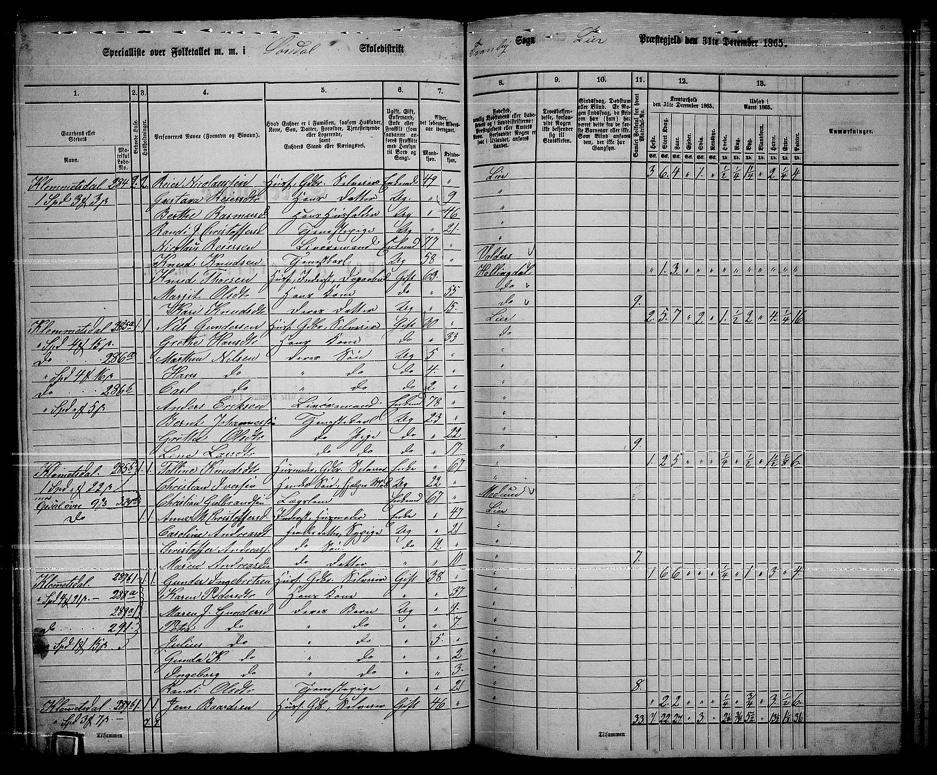 RA, 1865 census for Lier, 1865, p. 158