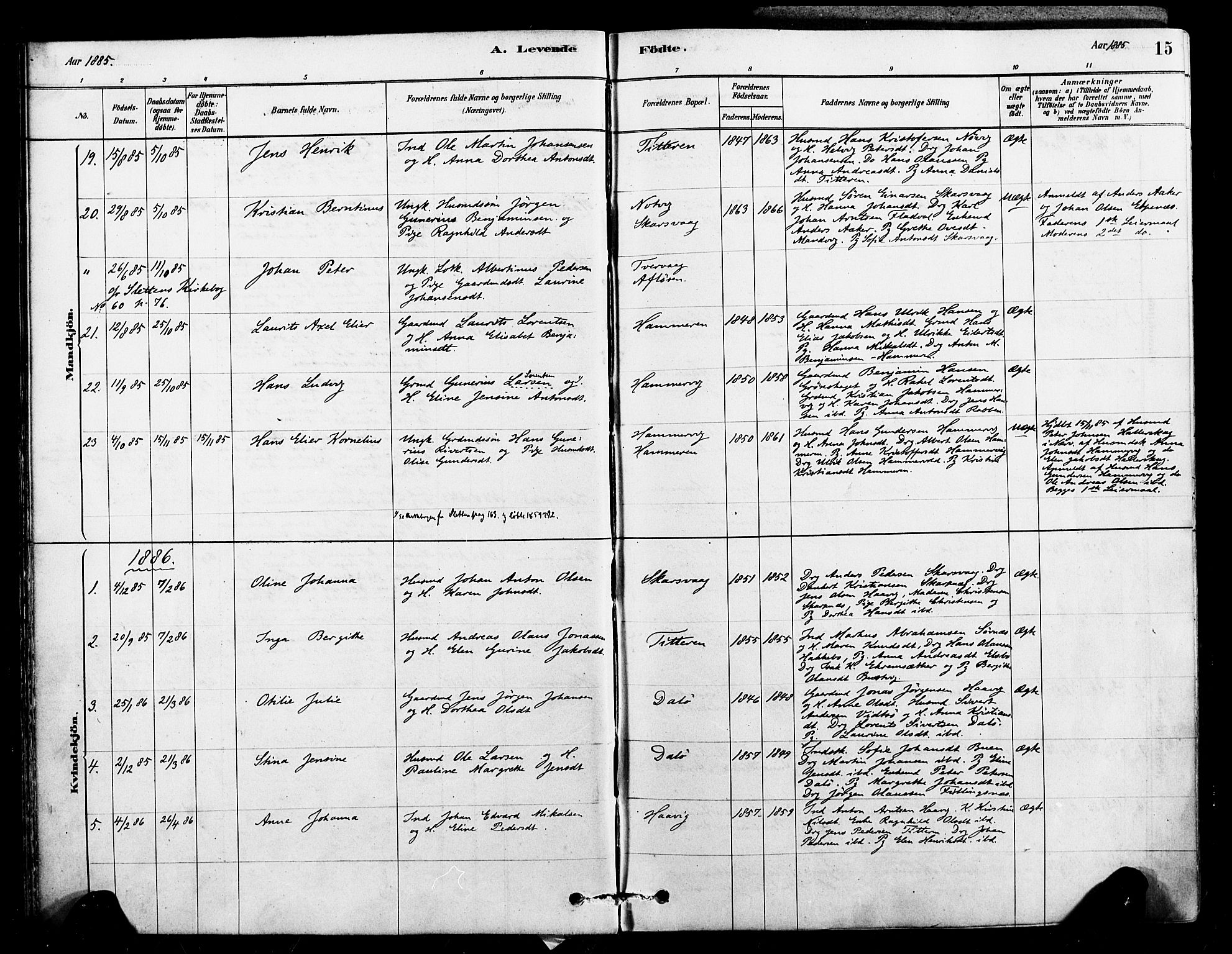 Ministerialprotokoller, klokkerbøker og fødselsregistre - Sør-Trøndelag, AV/SAT-A-1456/641/L0595: Parish register (official) no. 641A01, 1882-1897, p. 15