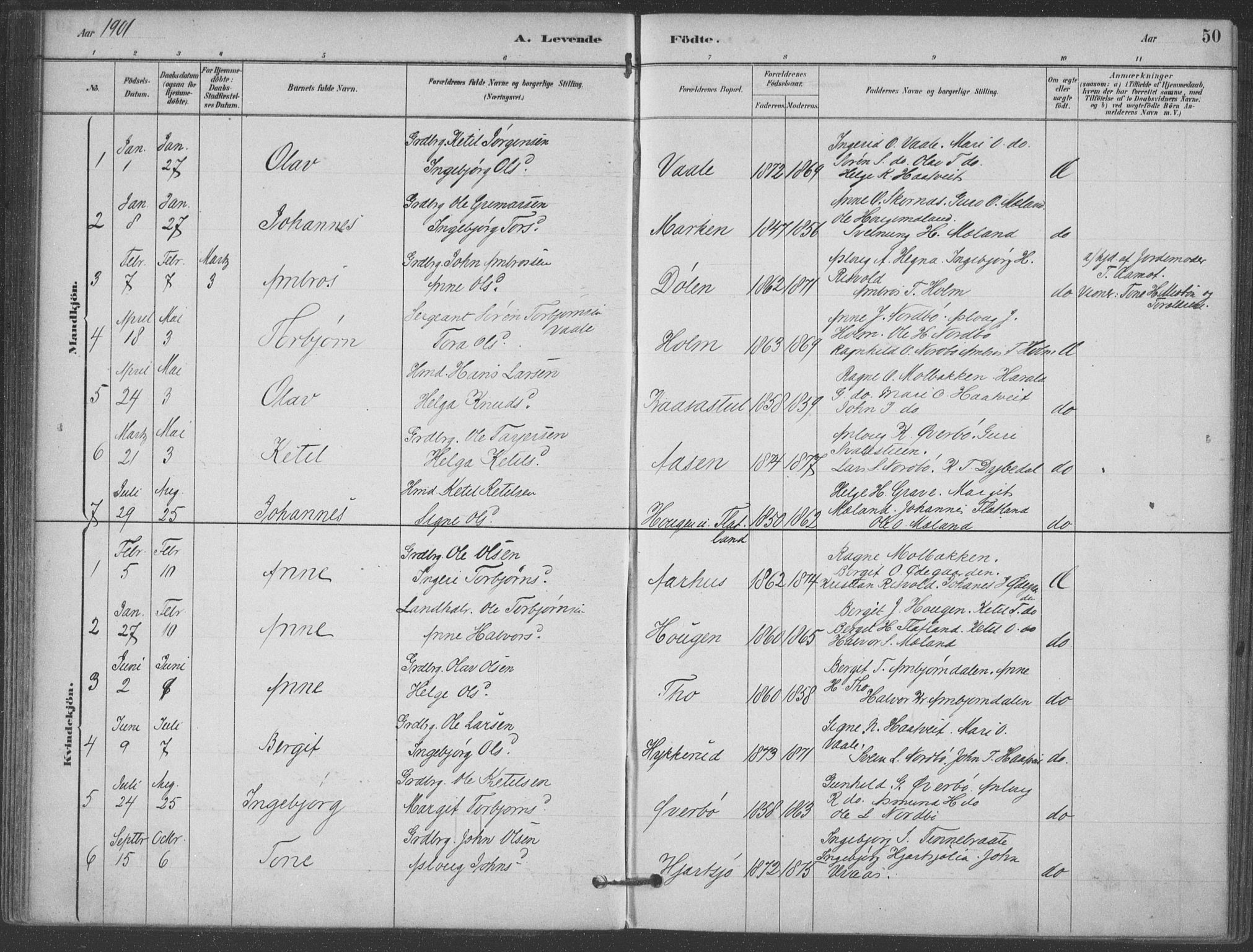 Hjartdal kirkebøker, SAKO/A-270/F/Fa/L0010: Parish register (official) no. I 10, 1880-1929, p. 50