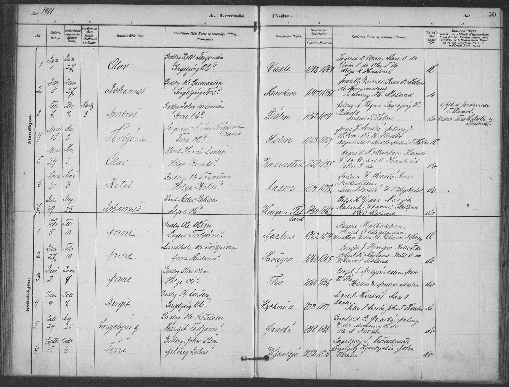Hjartdal kirkebøker, AV/SAKO-A-270/F/Fa/L0010: Parish register (official) no. I 10, 1880-1929, p. 50