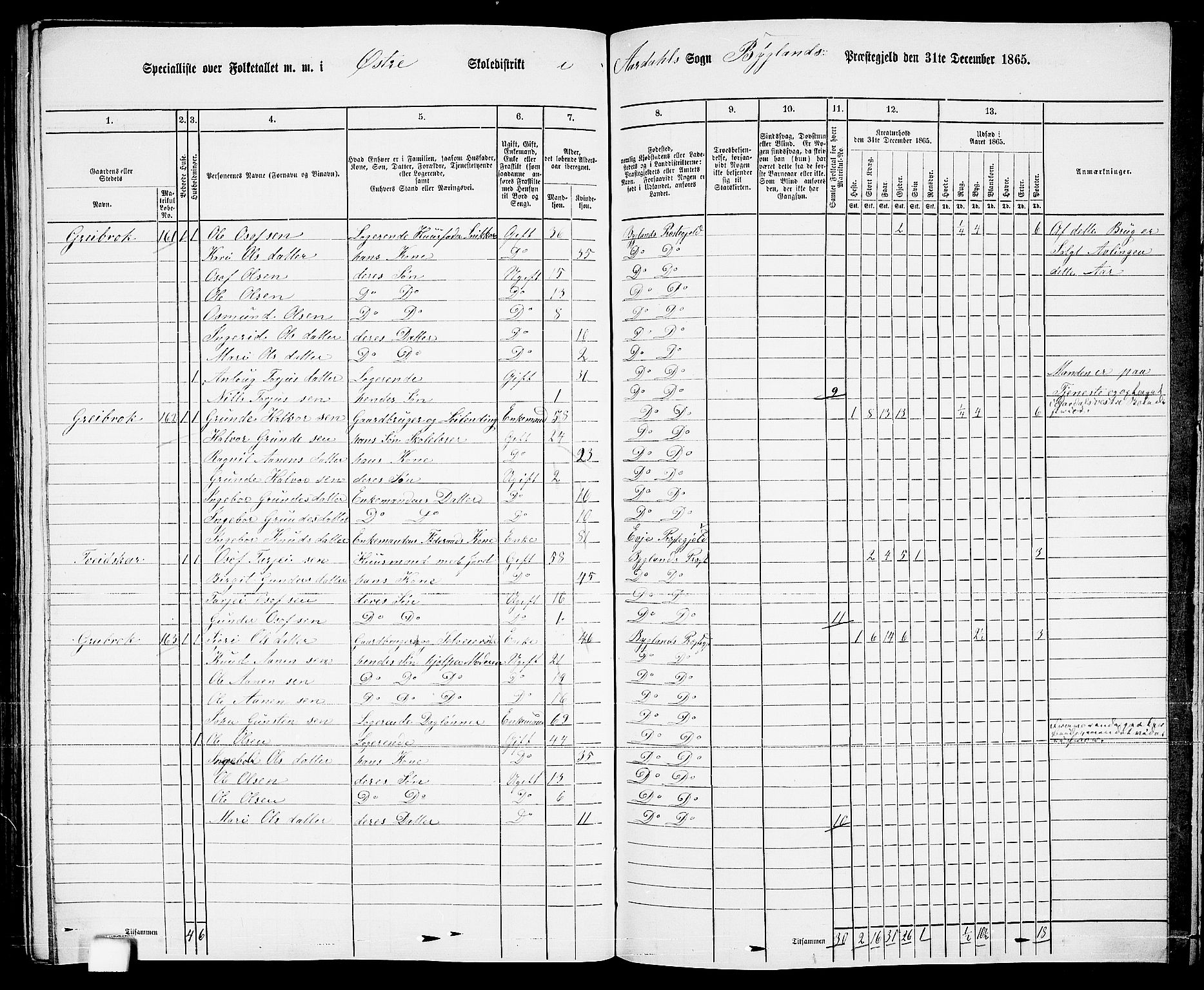 RA, 1865 census for Bygland, 1865, p. 84