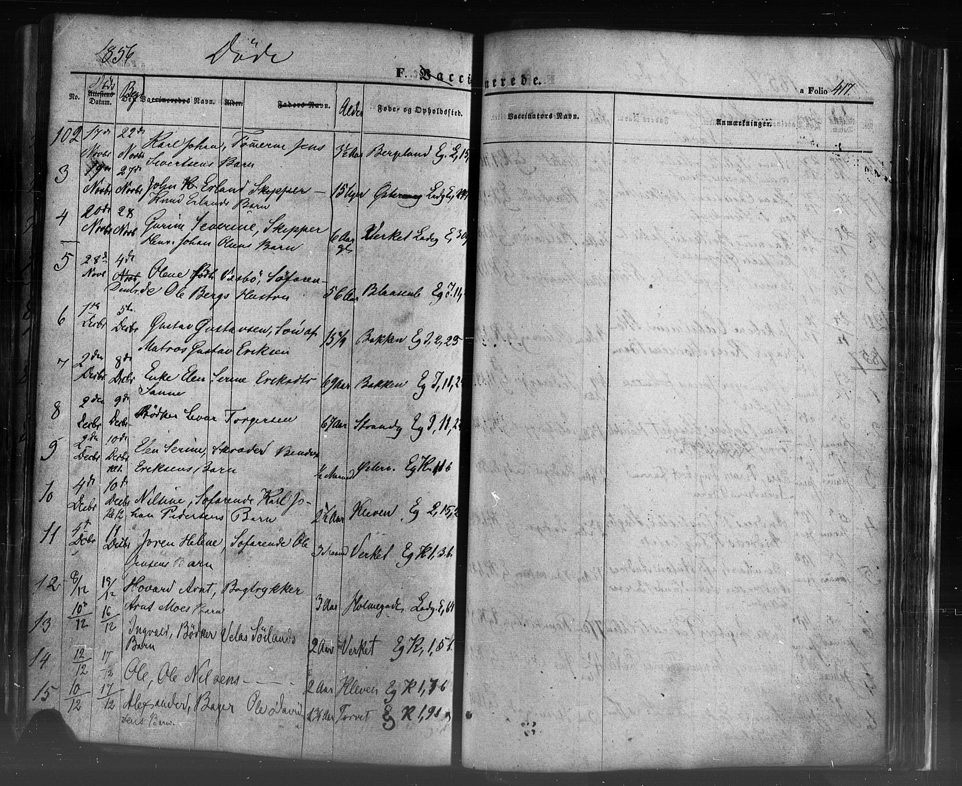 Domkirken sokneprestkontor, SAST/A-101812/001/30/30BB/L0009: Parish register (copy) no. B 9, 1850-1858, p. 417