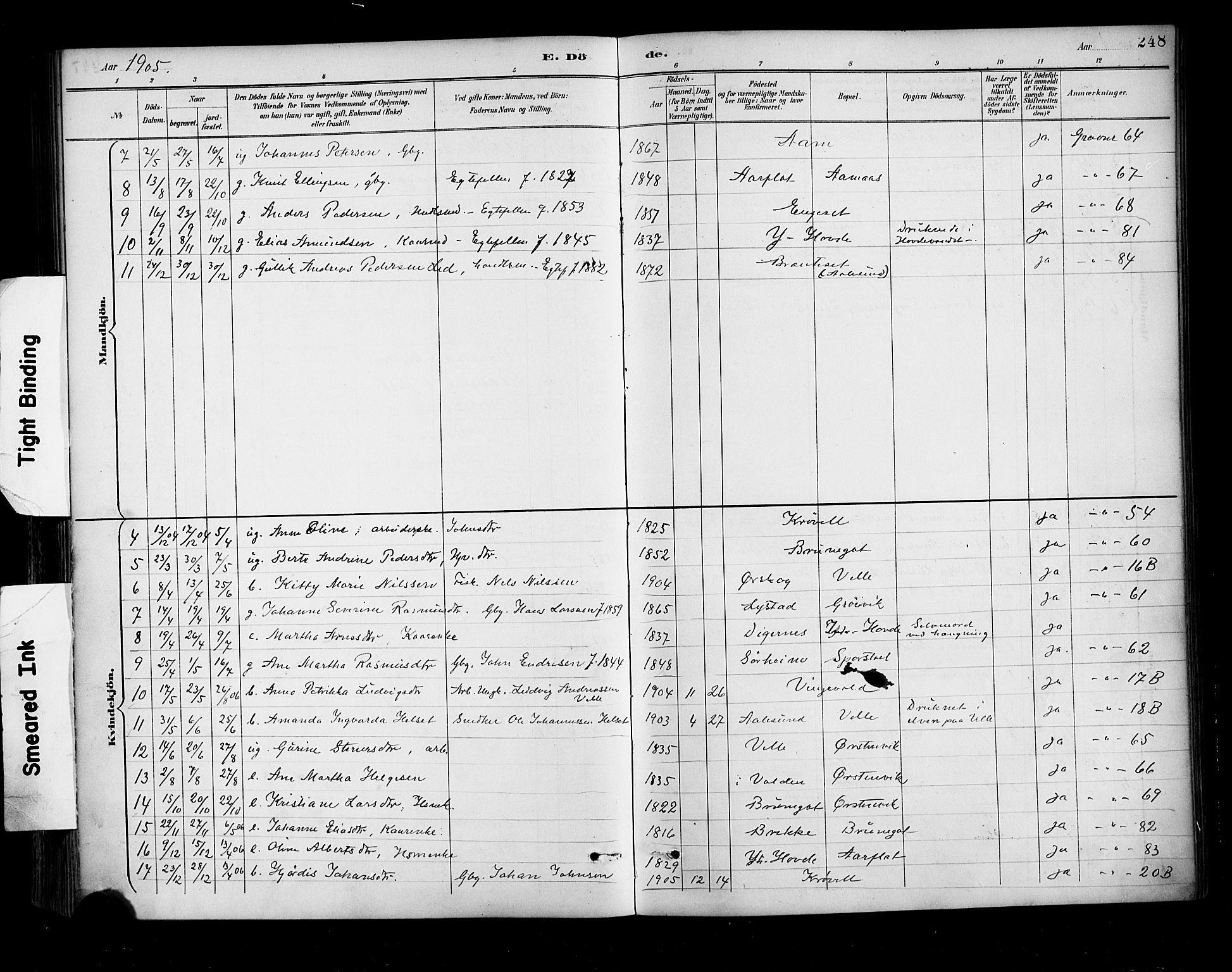 Ministerialprotokoller, klokkerbøker og fødselsregistre - Møre og Romsdal, AV/SAT-A-1454/513/L0177: Parish register (official) no. 513A04, 1890-1906, p. 248