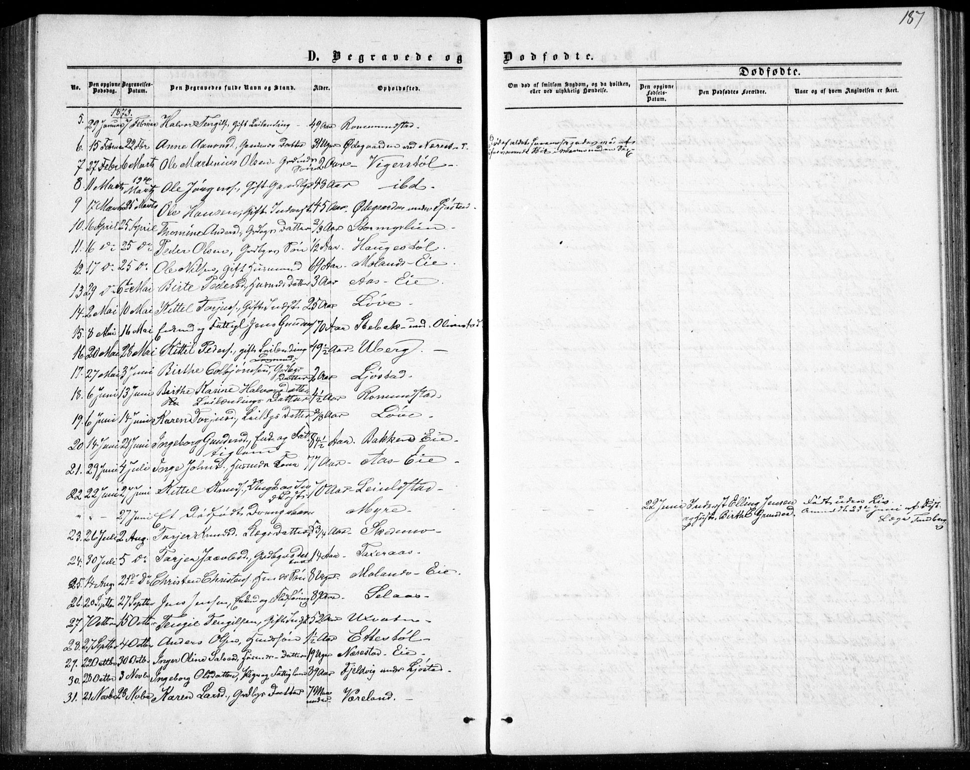 Gjerstad sokneprestkontor, AV/SAK-1111-0014/F/Fb/Fbb/L0003: Parish register (copy) no. B 3, 1862-1889, p. 187