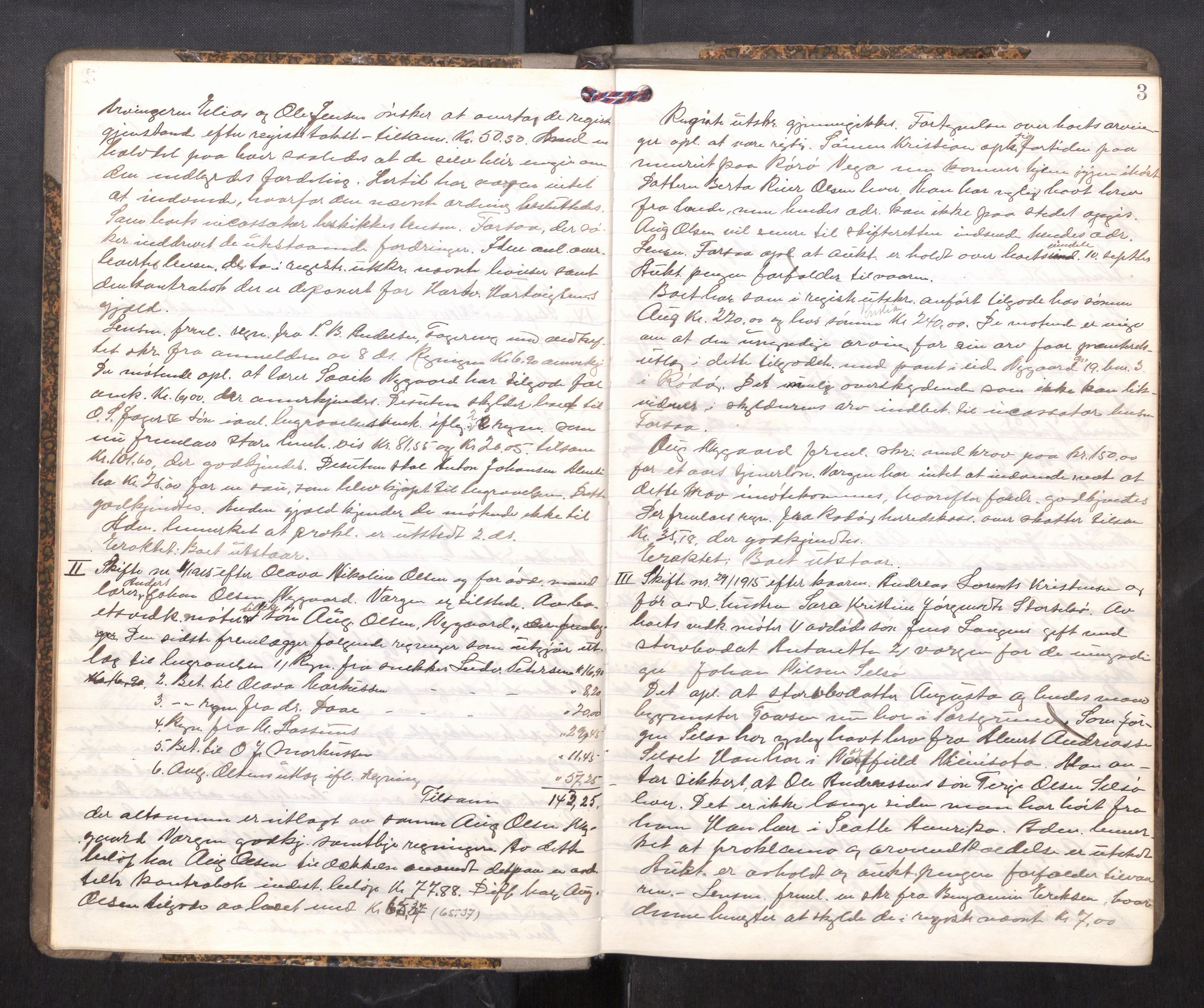 Rana sorenskriveri , AV/SAT-A-1108/1/3/3B/L0010: Skiftebehandlingsprotokoll, 1915-1918, p. 3