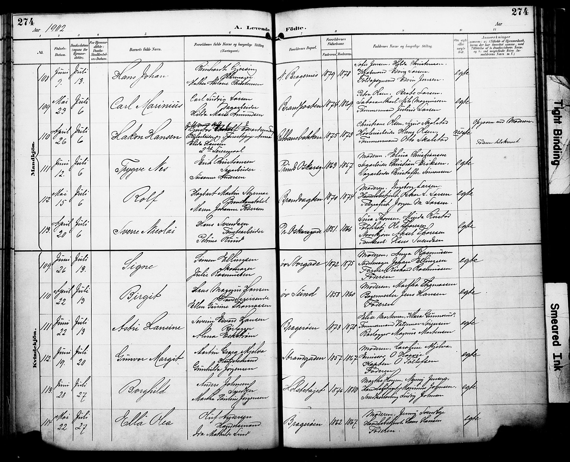 Bragernes kirkebøker, AV/SAKO-A-6/F/Fb/L0008: Parish register (official) no. II 8, 1894-1902, p. 274