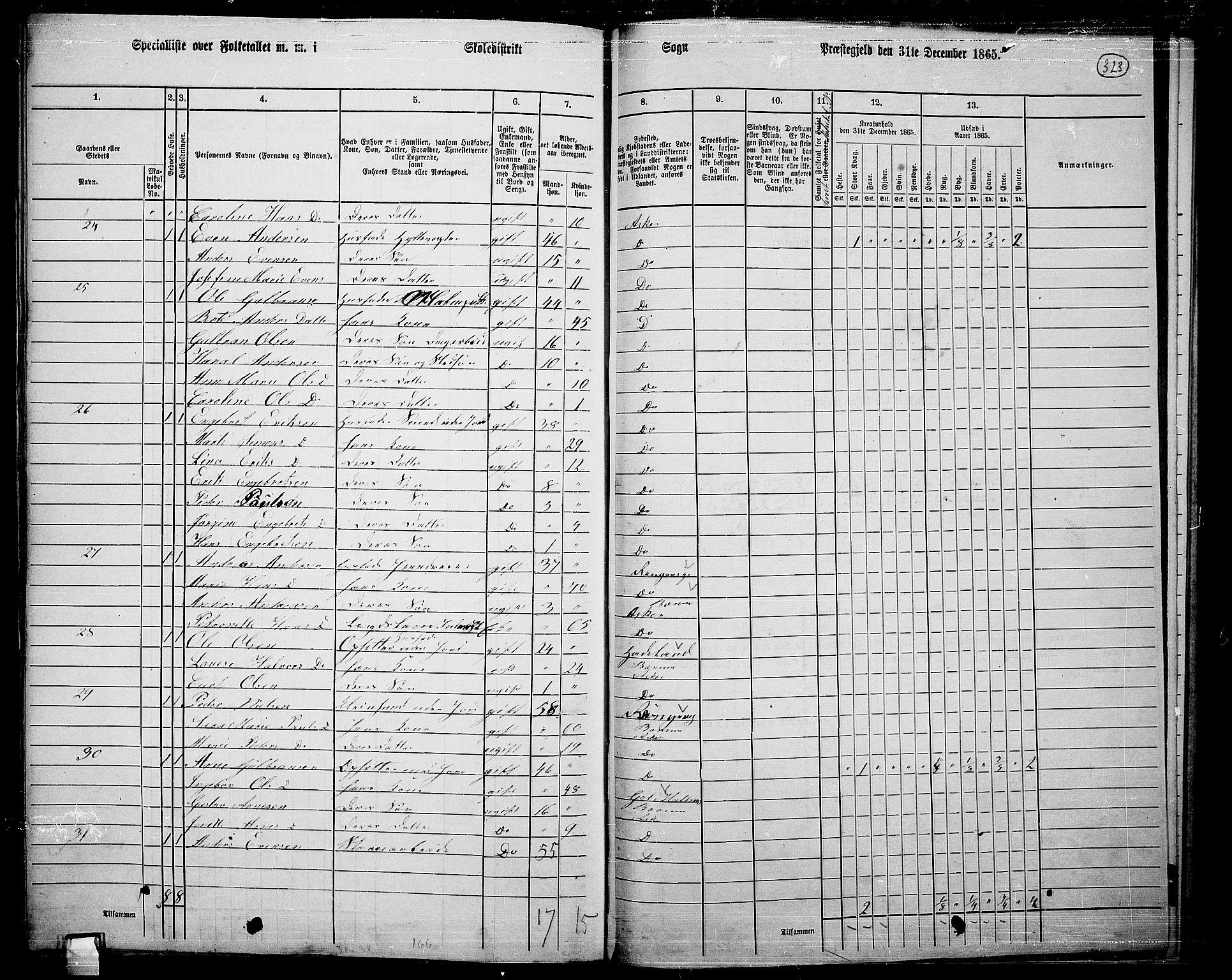 RA, 1865 census for Asker, 1865, p. 312