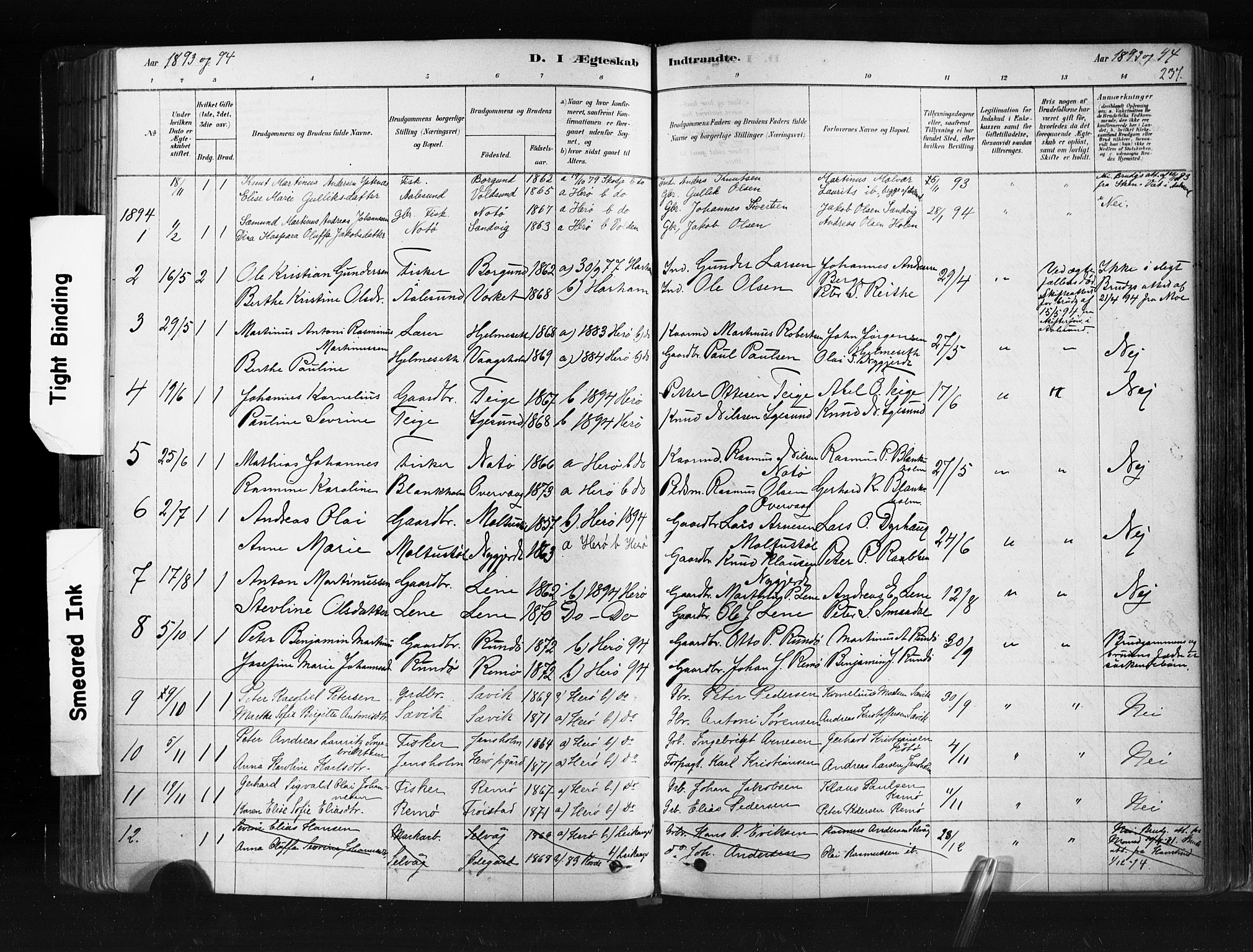 Ministerialprotokoller, klokkerbøker og fødselsregistre - Møre og Romsdal, AV/SAT-A-1454/507/L0073: Parish register (official) no. 507A08, 1878-1904, p. 237