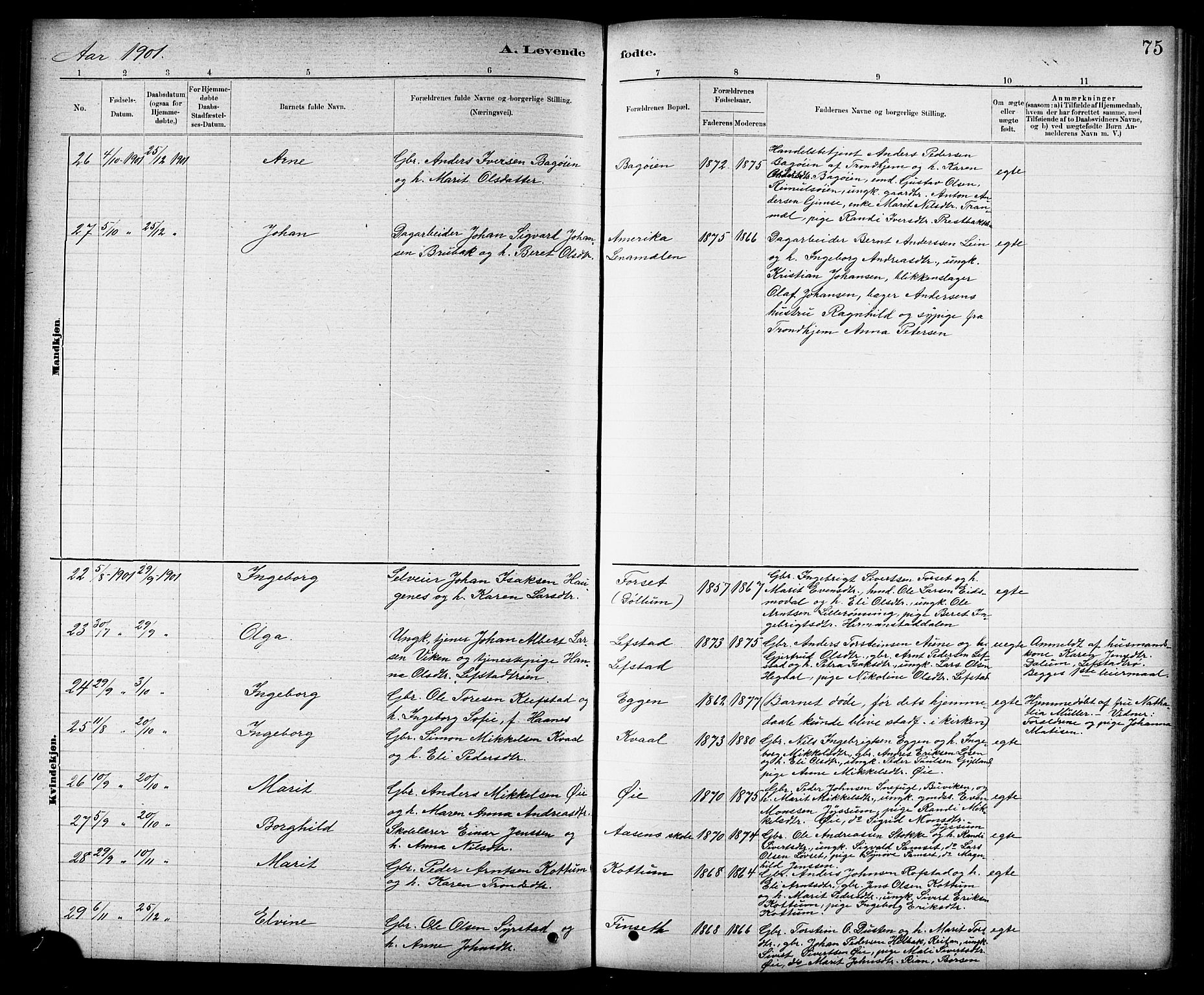 Ministerialprotokoller, klokkerbøker og fødselsregistre - Sør-Trøndelag, SAT/A-1456/691/L1094: Parish register (copy) no. 691C05, 1879-1911, p. 75