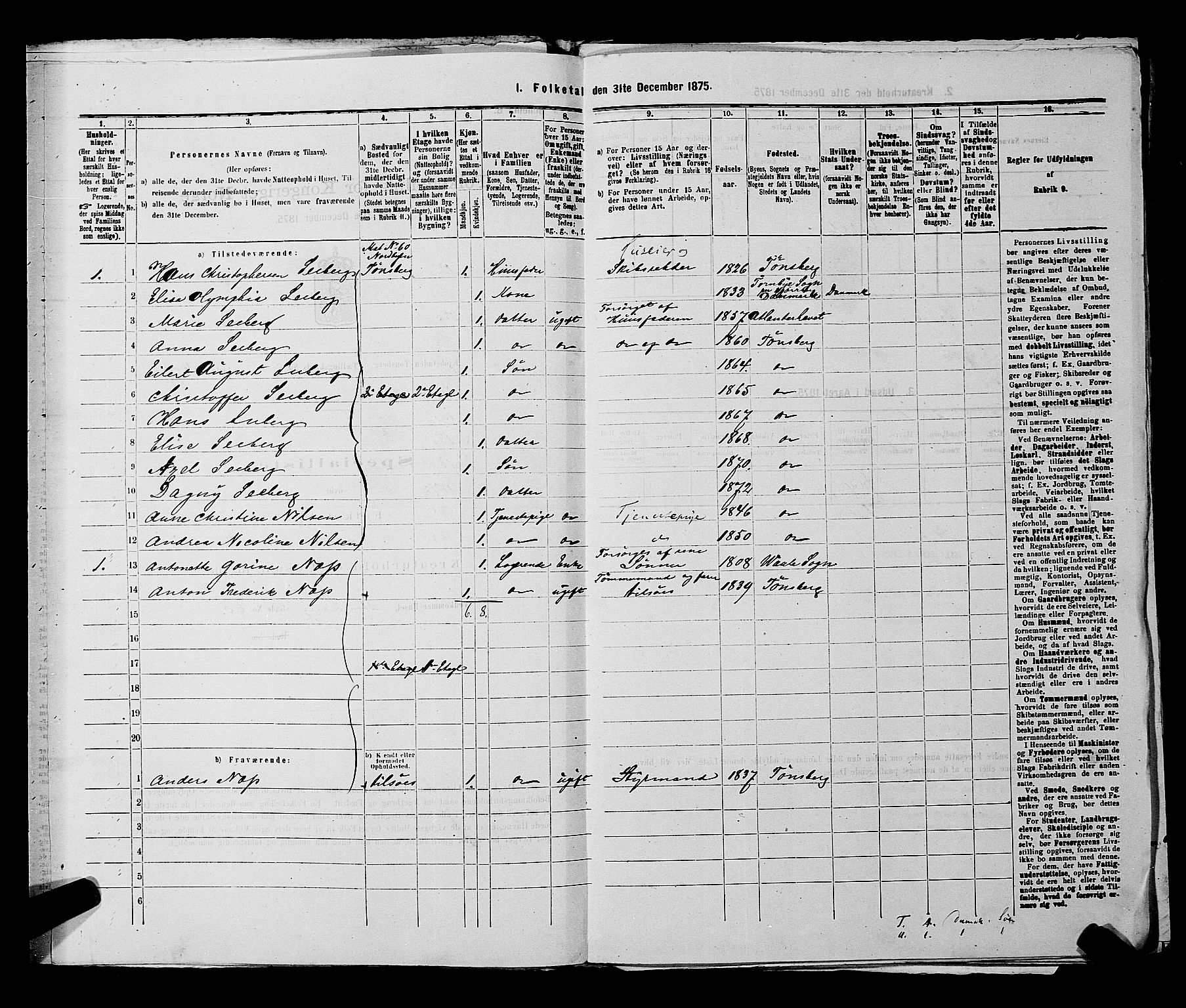 SAKO, 1875 census for 0705P Tønsberg, 1875, p. 229