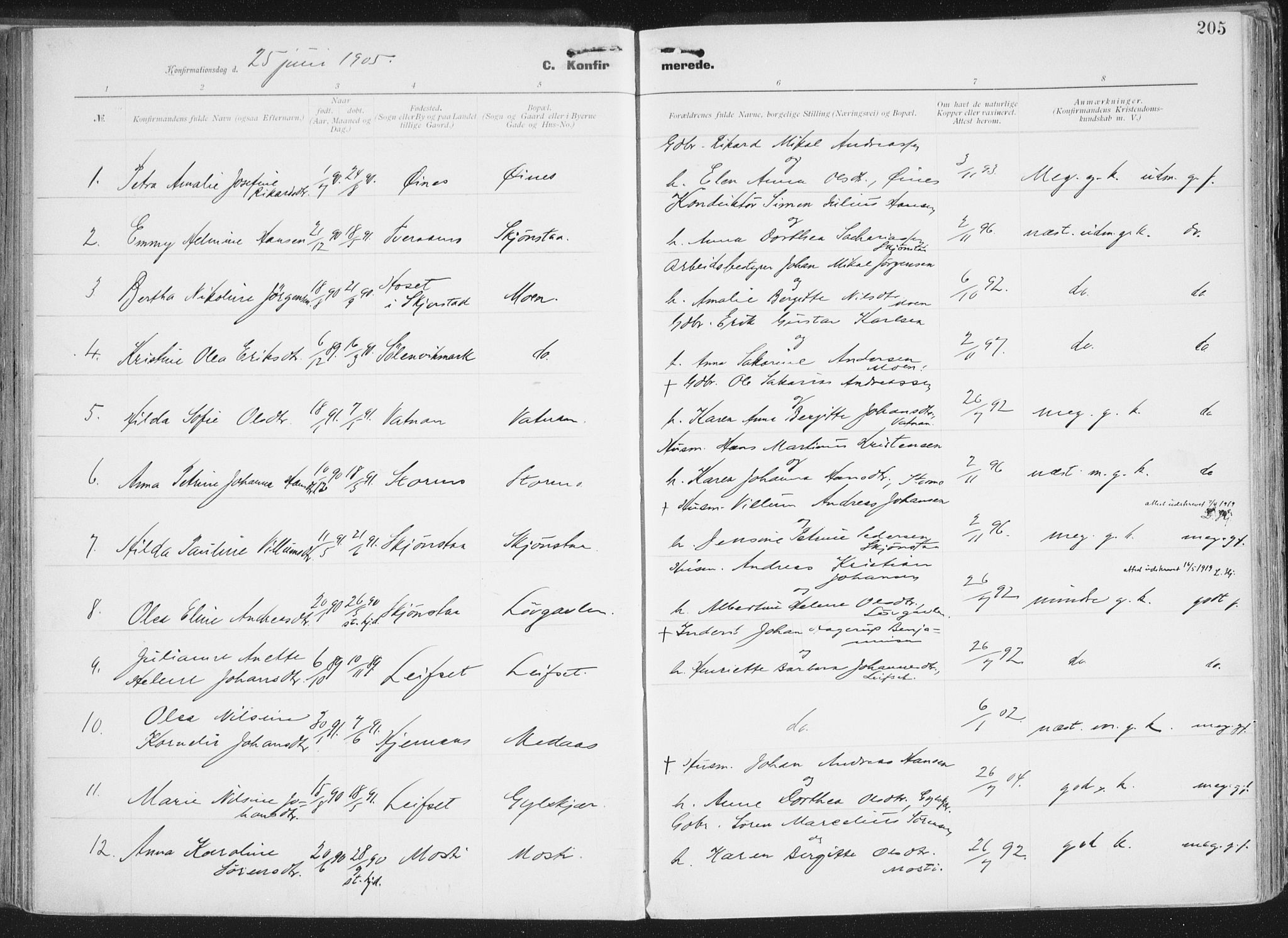 Ministerialprotokoller, klokkerbøker og fødselsregistre - Nordland, AV/SAT-A-1459/849/L0696: Parish register (official) no. 849A08, 1898-1910, p. 205