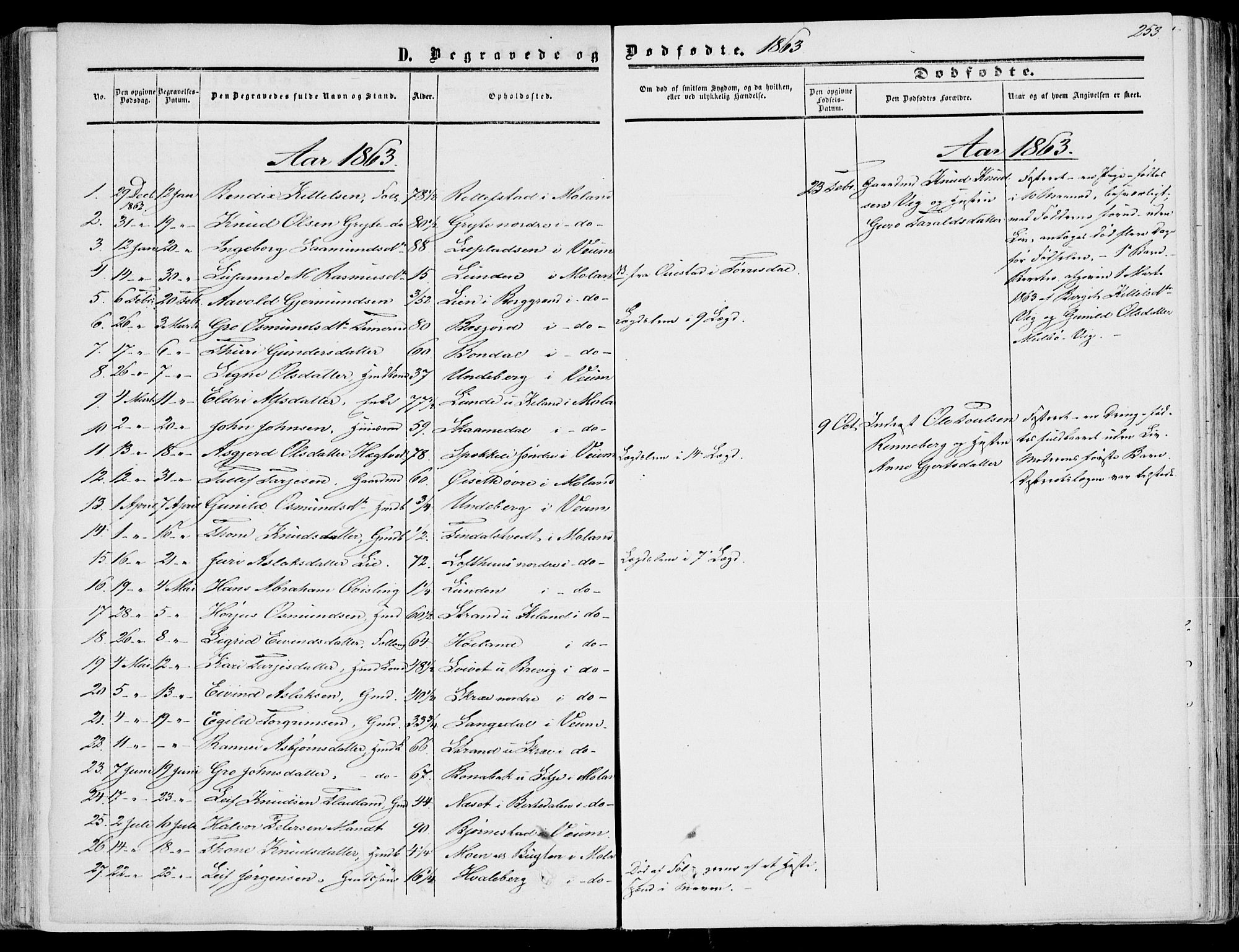 Fyresdal kirkebøker, SAKO/A-263/F/Fa/L0005: Parish register (official) no. I 5, 1855-1871, p. 253