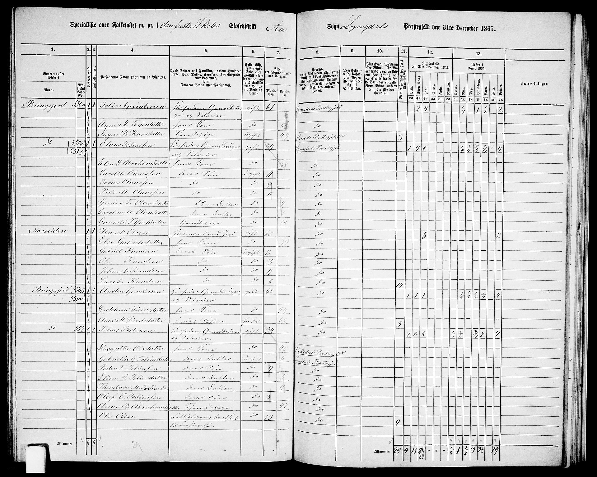 RA, 1865 census for Lyngdal, 1865, p. 210