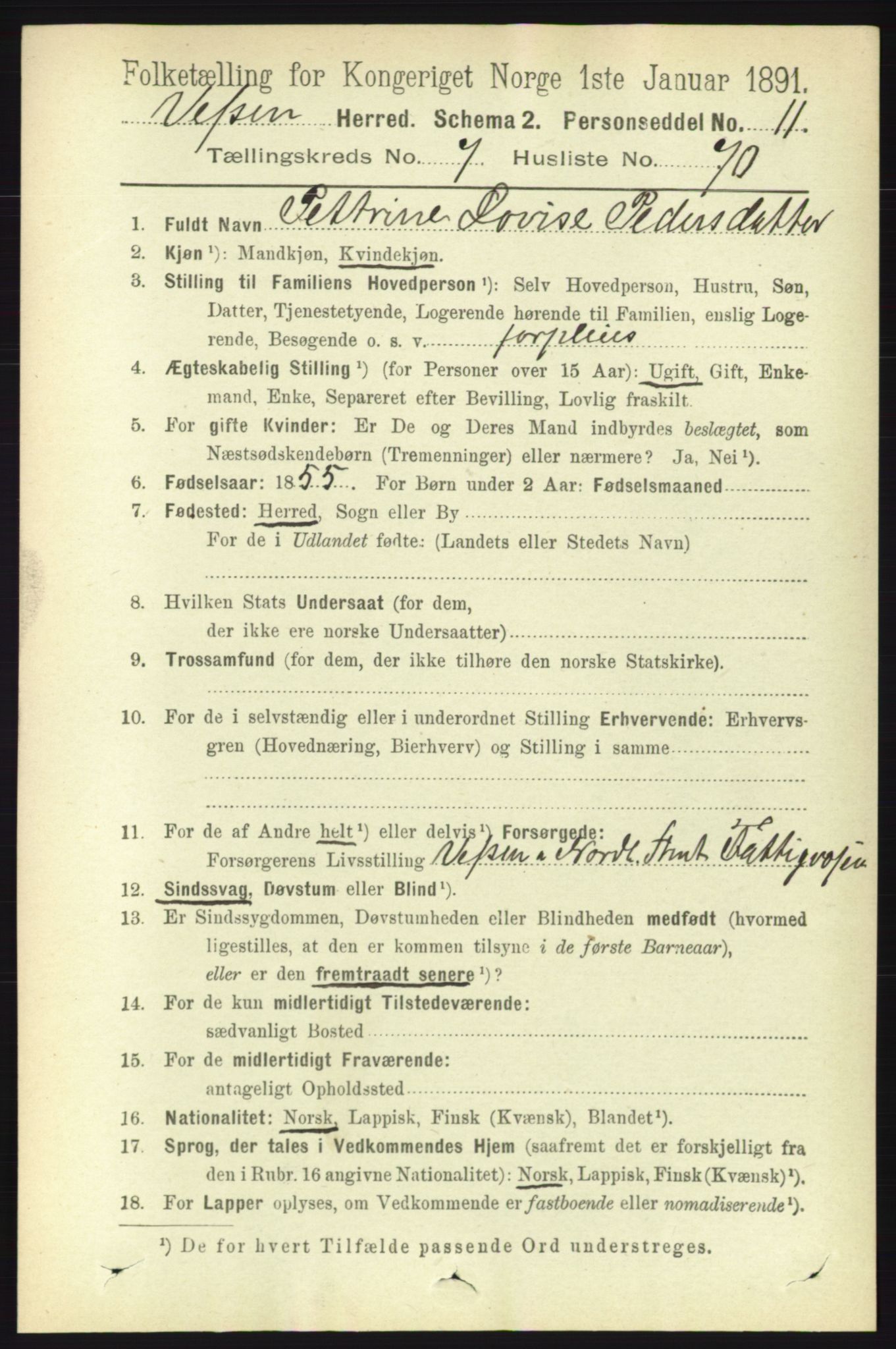 RA, 1891 census for 1824 Vefsn, 1891, p. 4124