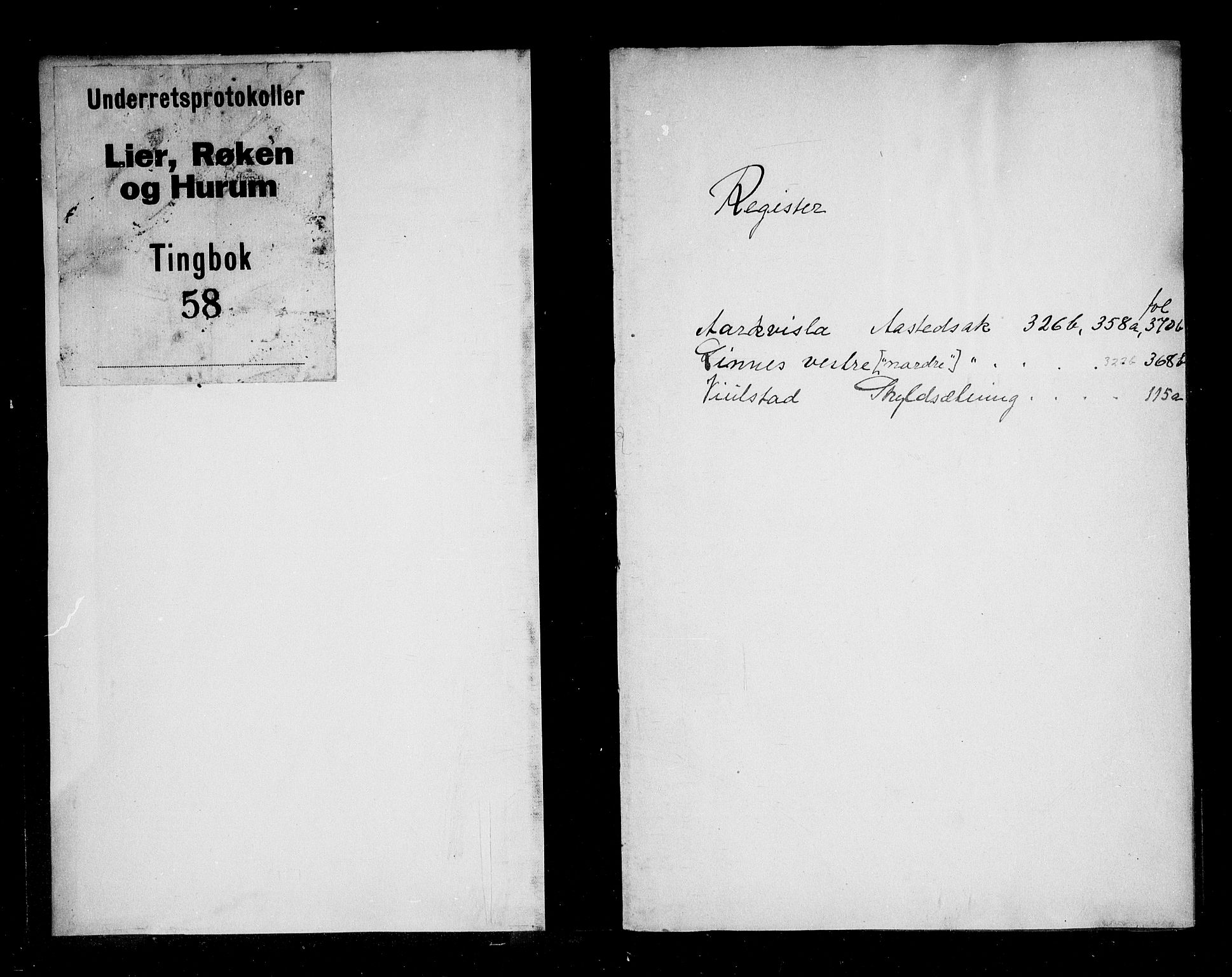 Lier, Røyken og Hurum sorenskriveri, SAKO/A-89/F/Fa/L0058: Tingbok, 1782-1788