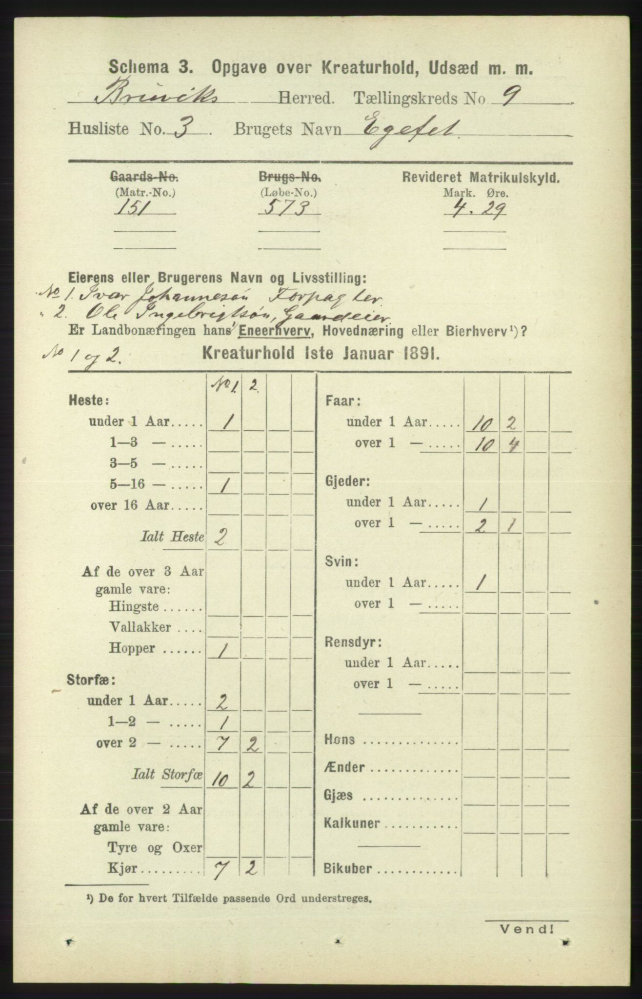 RA, 1891 census for 1251 Bruvik, 1891, p. 4805