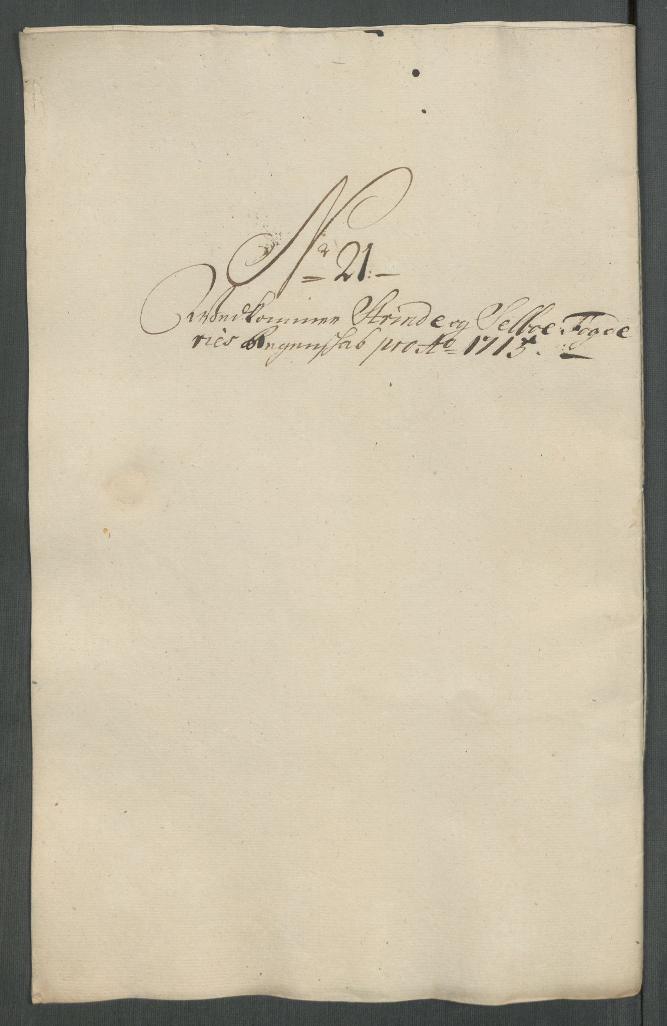 Rentekammeret inntil 1814, Reviderte regnskaper, Fogderegnskap, RA/EA-4092/R61/L4115: Fogderegnskap Strinda og Selbu, 1715-1716, p. 172